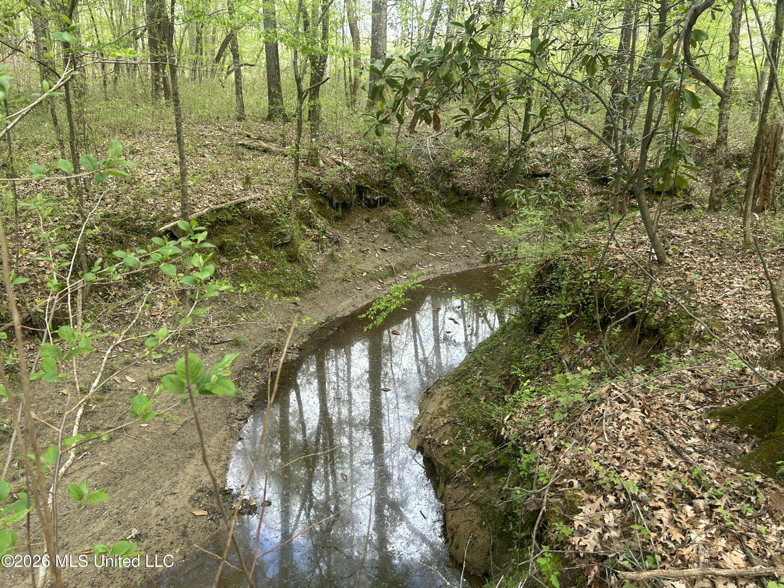9227 River Road Property Photo 71