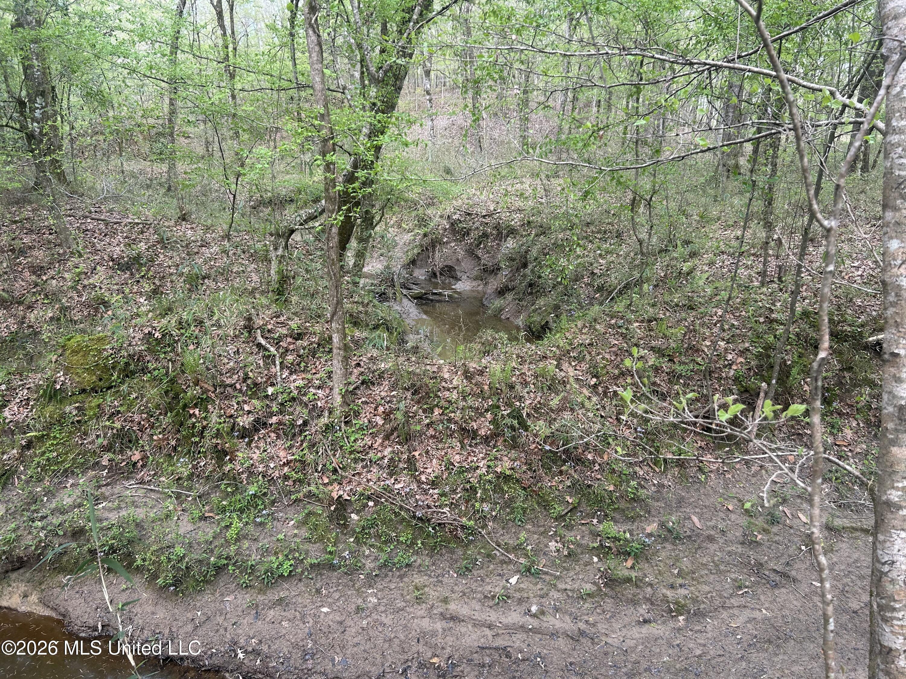 9227 River Road Property Photo 72