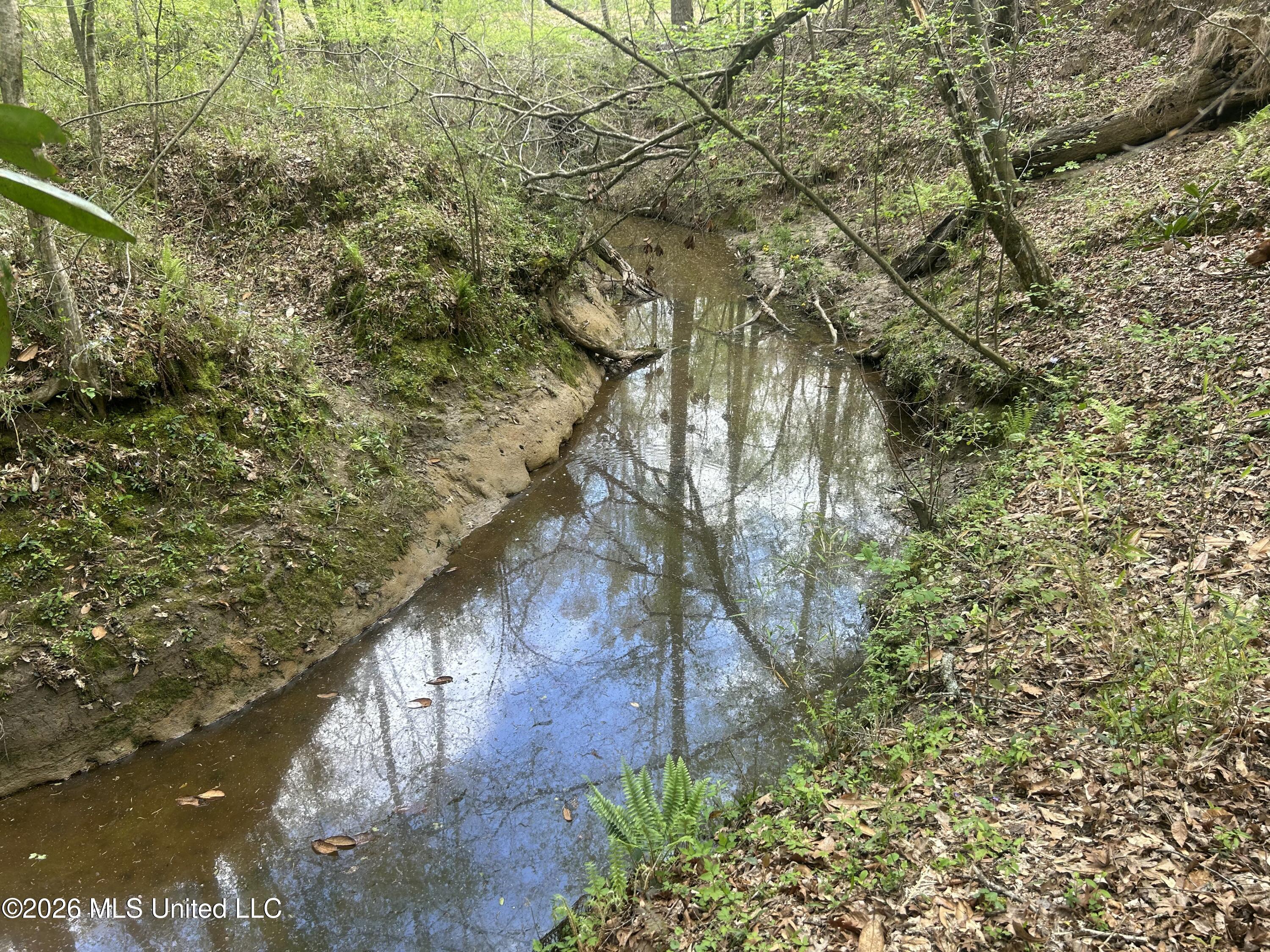 9227 River Road Property Photo 73