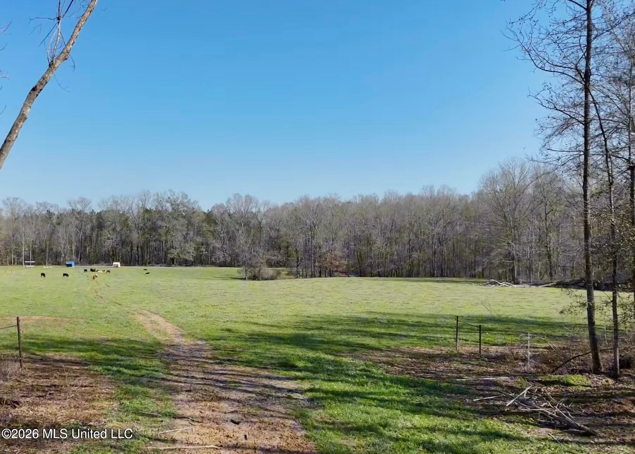 9227 River Road Property Photo 75