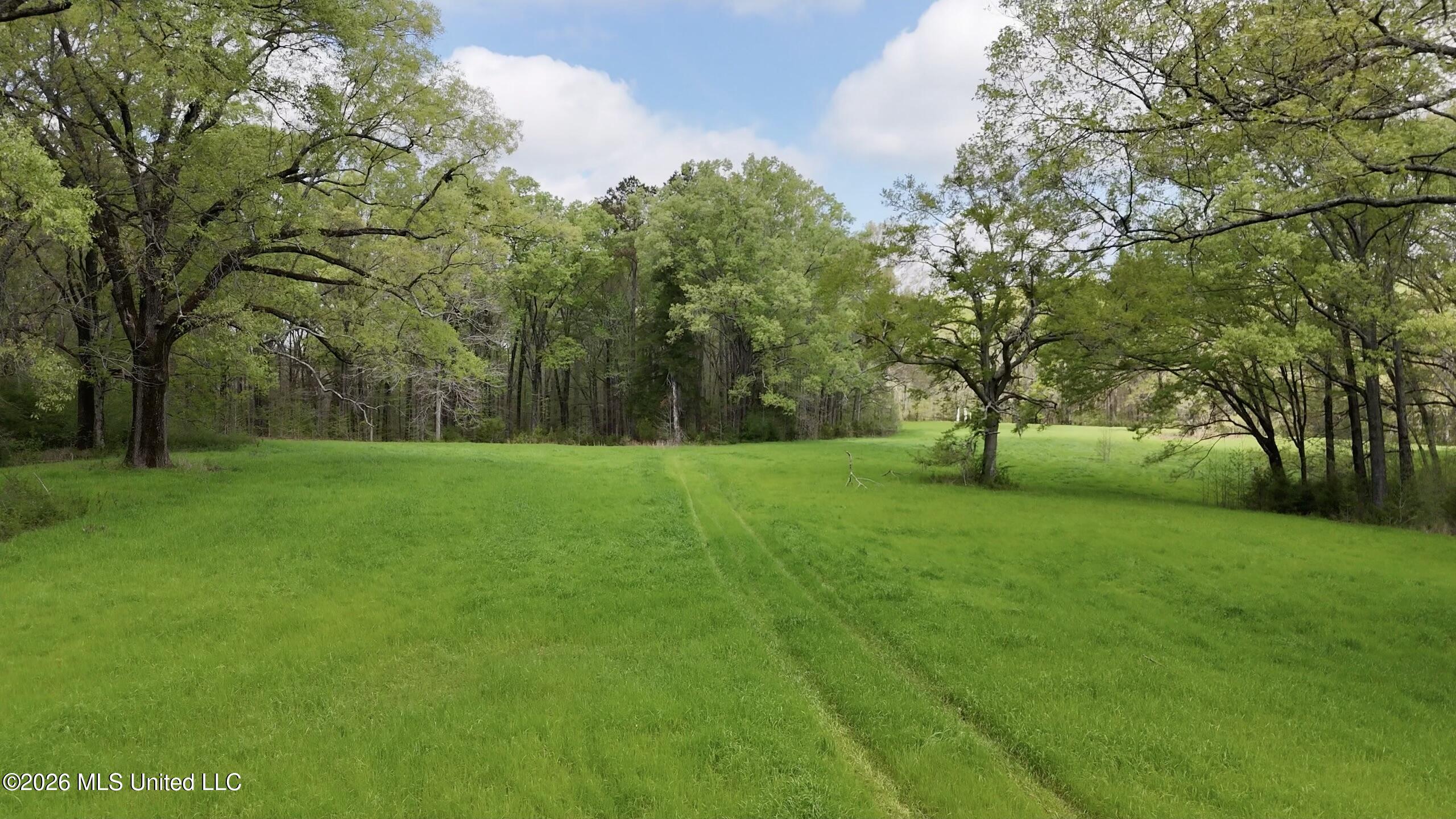 9227 River Road Property Photo 79