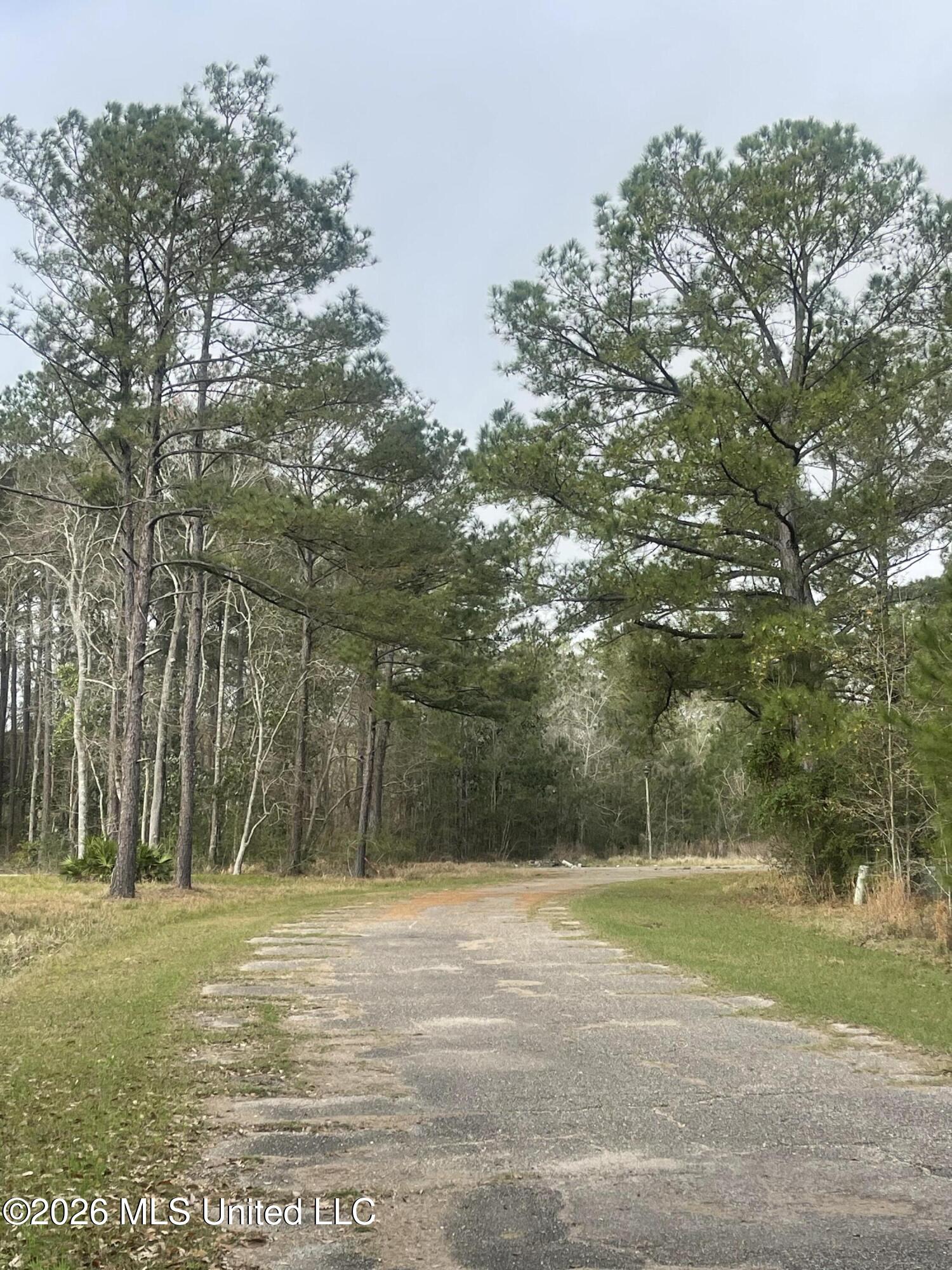 Sand Pine Cove Property Photo 4