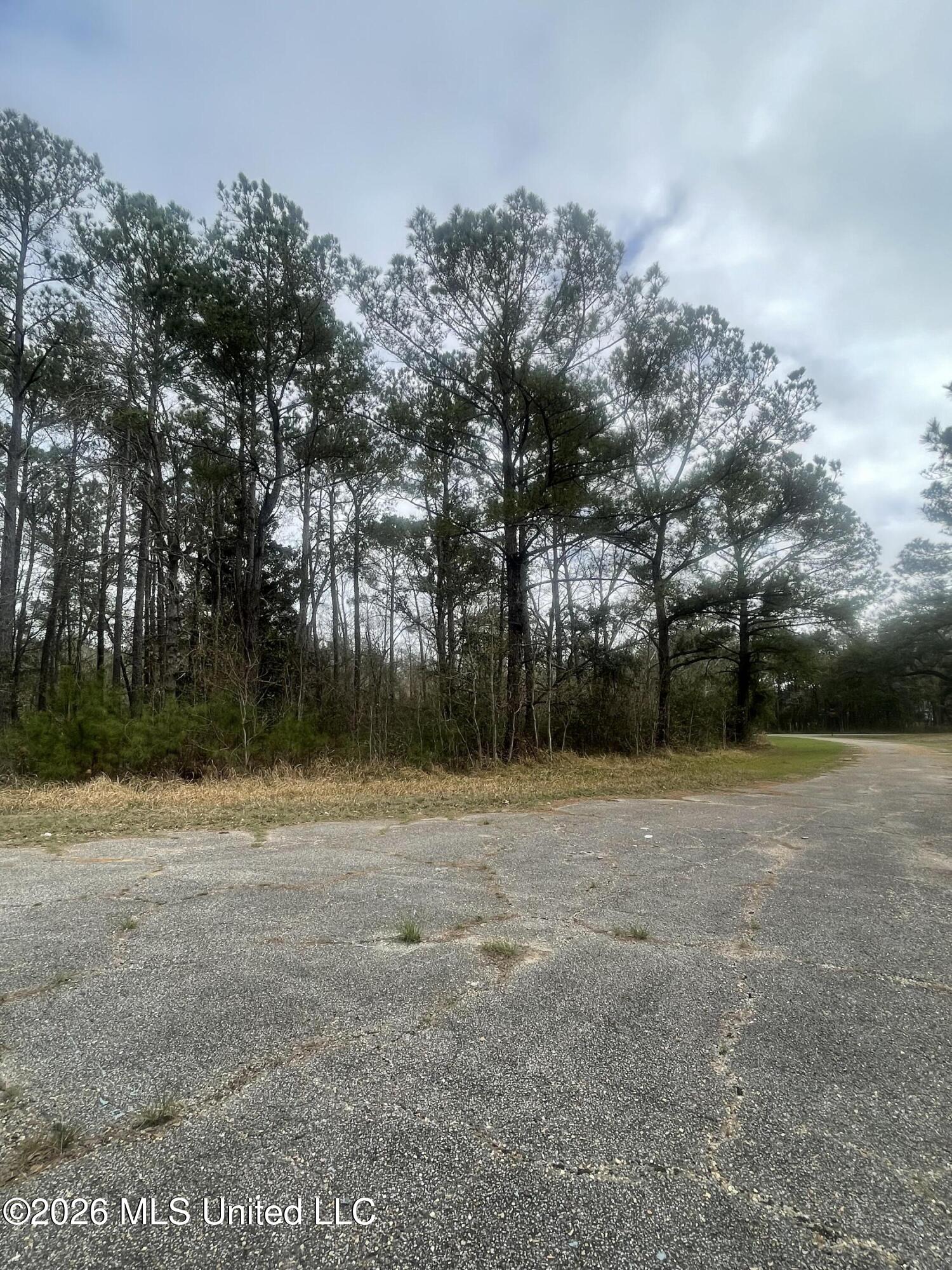 Sand Pine Cove Property Photo 5