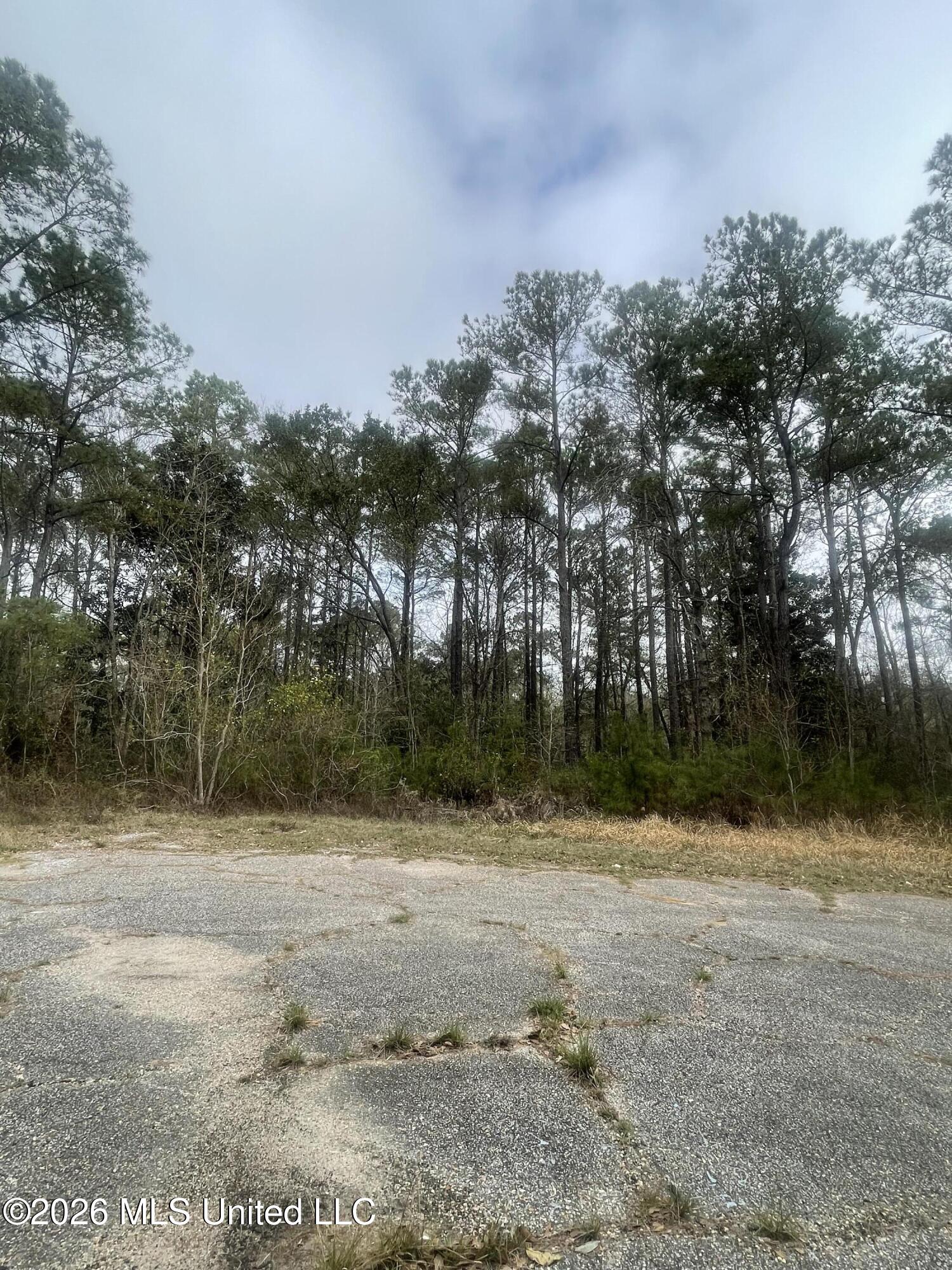 Sand Pine Cove Property Photo 6