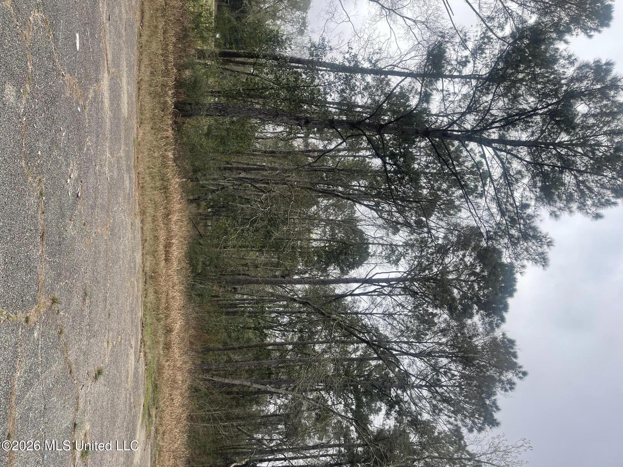 Sand Pine Cove Property Photo 7