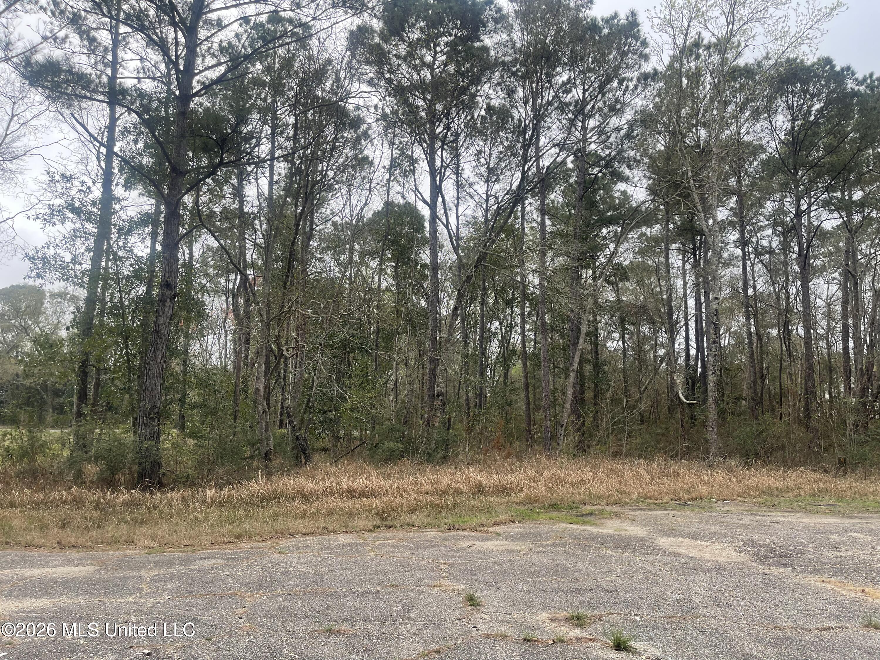 Sand Pine Cove Property Photo 8