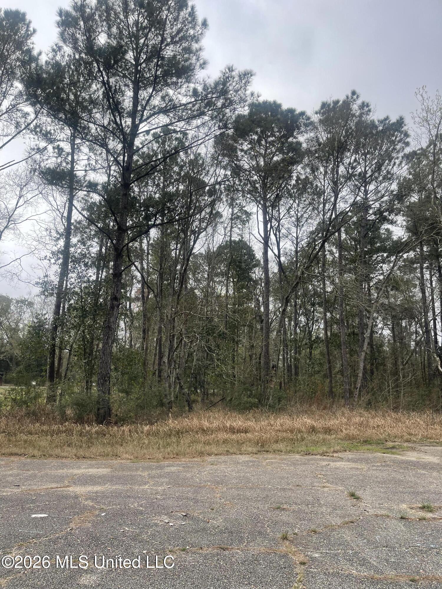 Sand Cove Property Photo 7