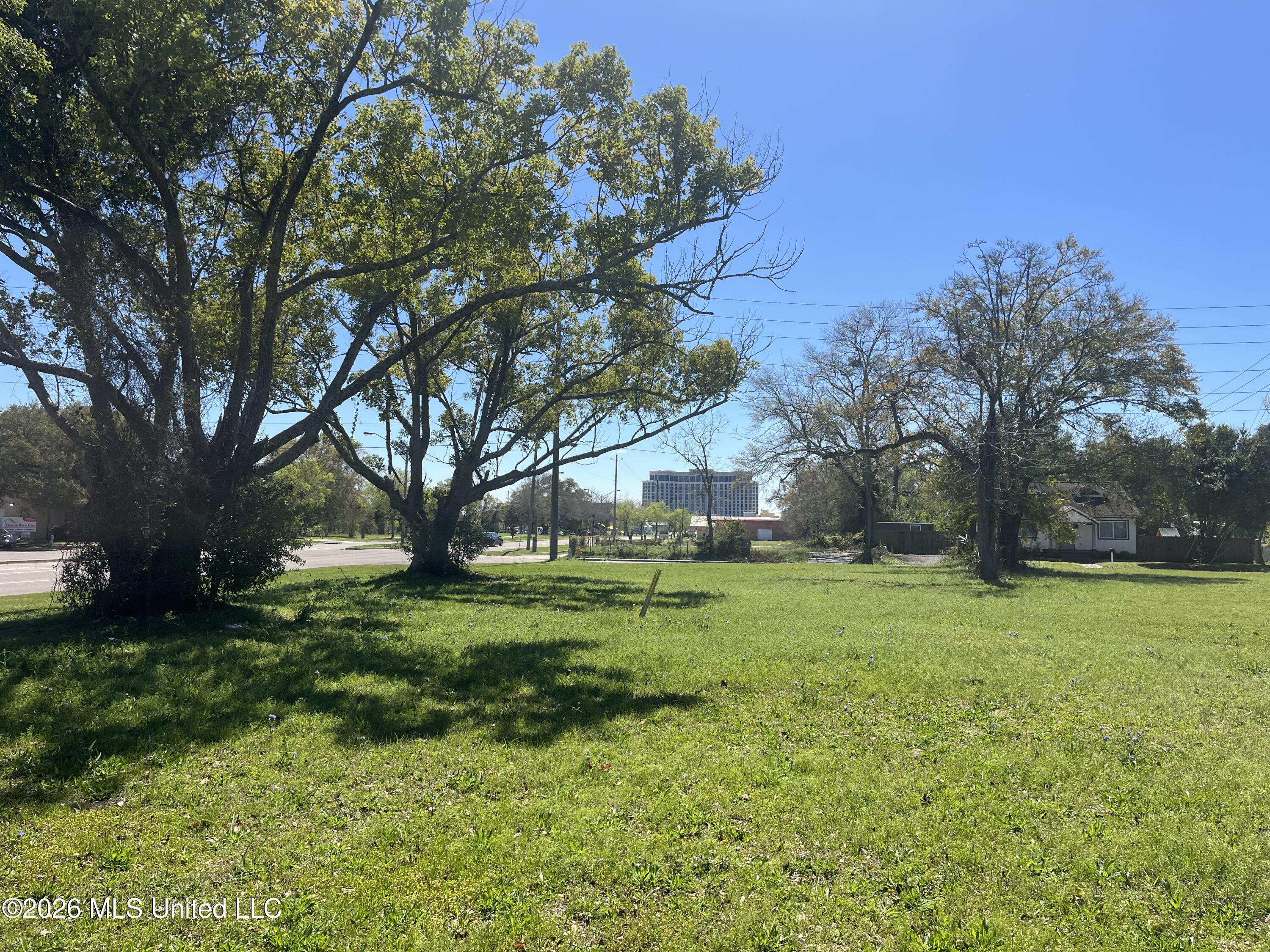 357 Caillavet Street Property Photo 1