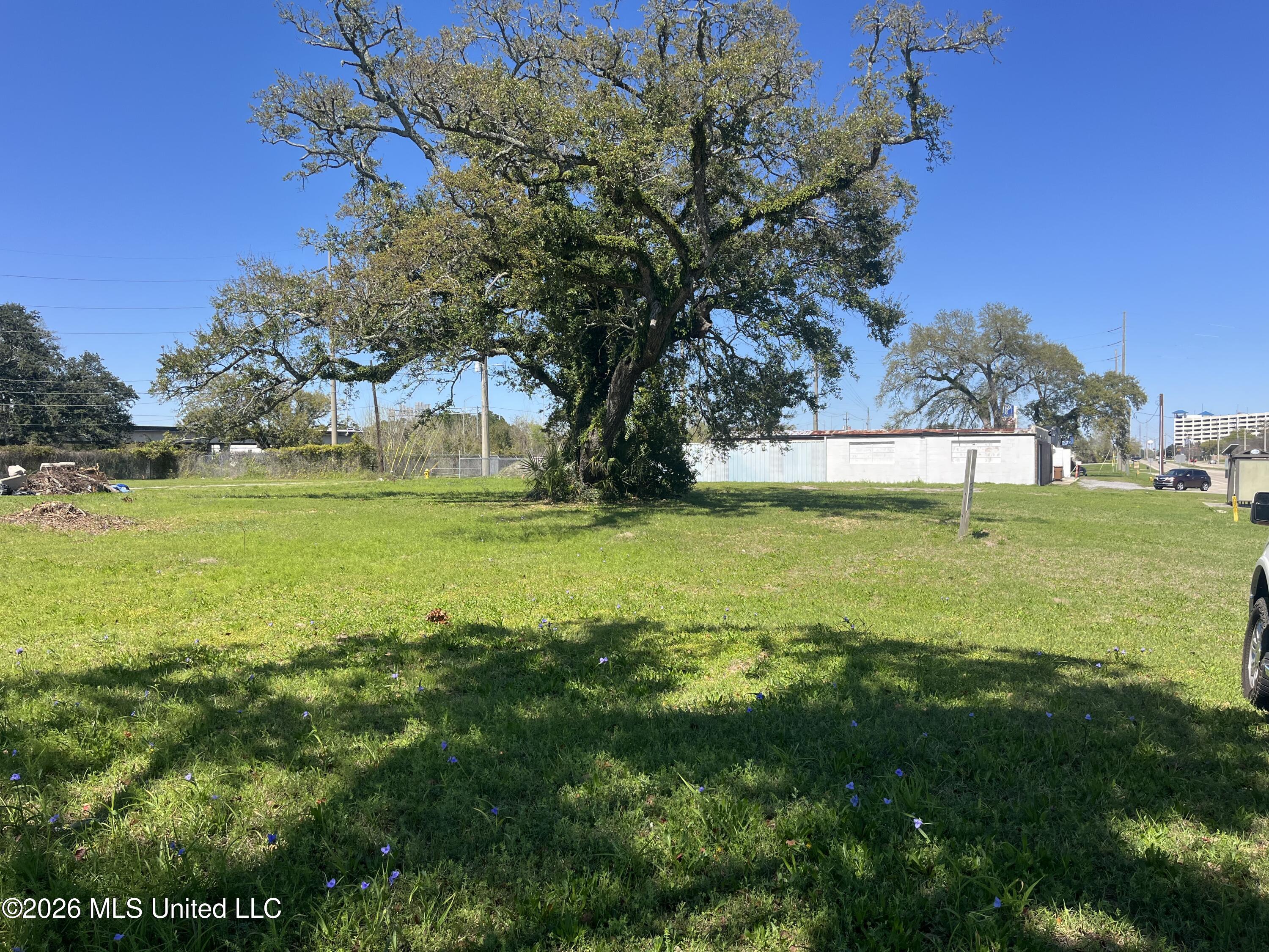 357 Caillavet Street Property Photo 4