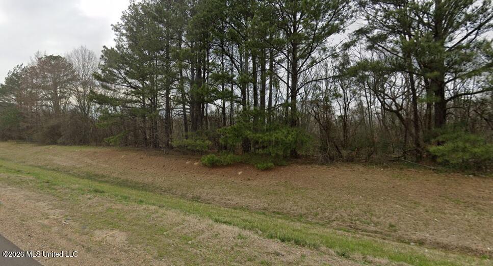 0 Flowood Drive Property Photo 3