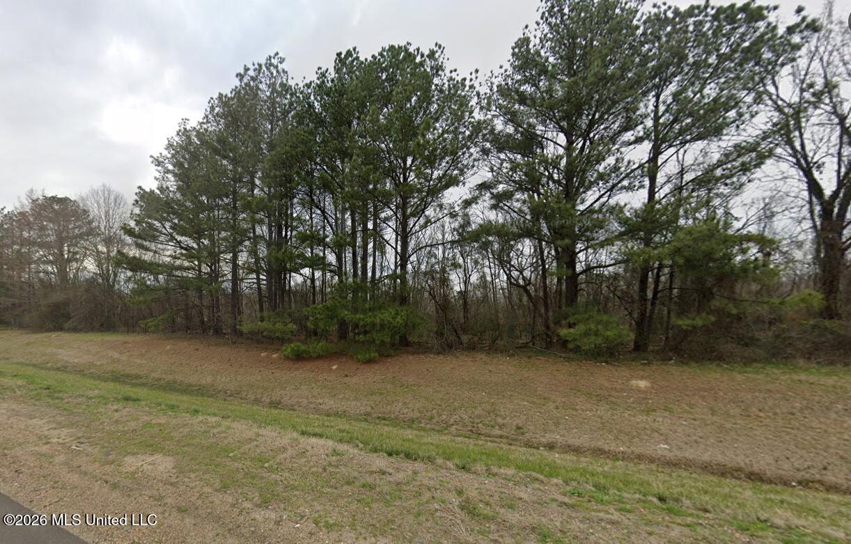 0 Flowood Drive Property Photo 5