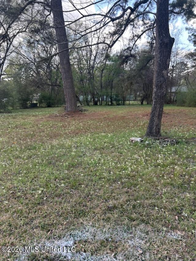 275 Myer Avenue Property Photo 8