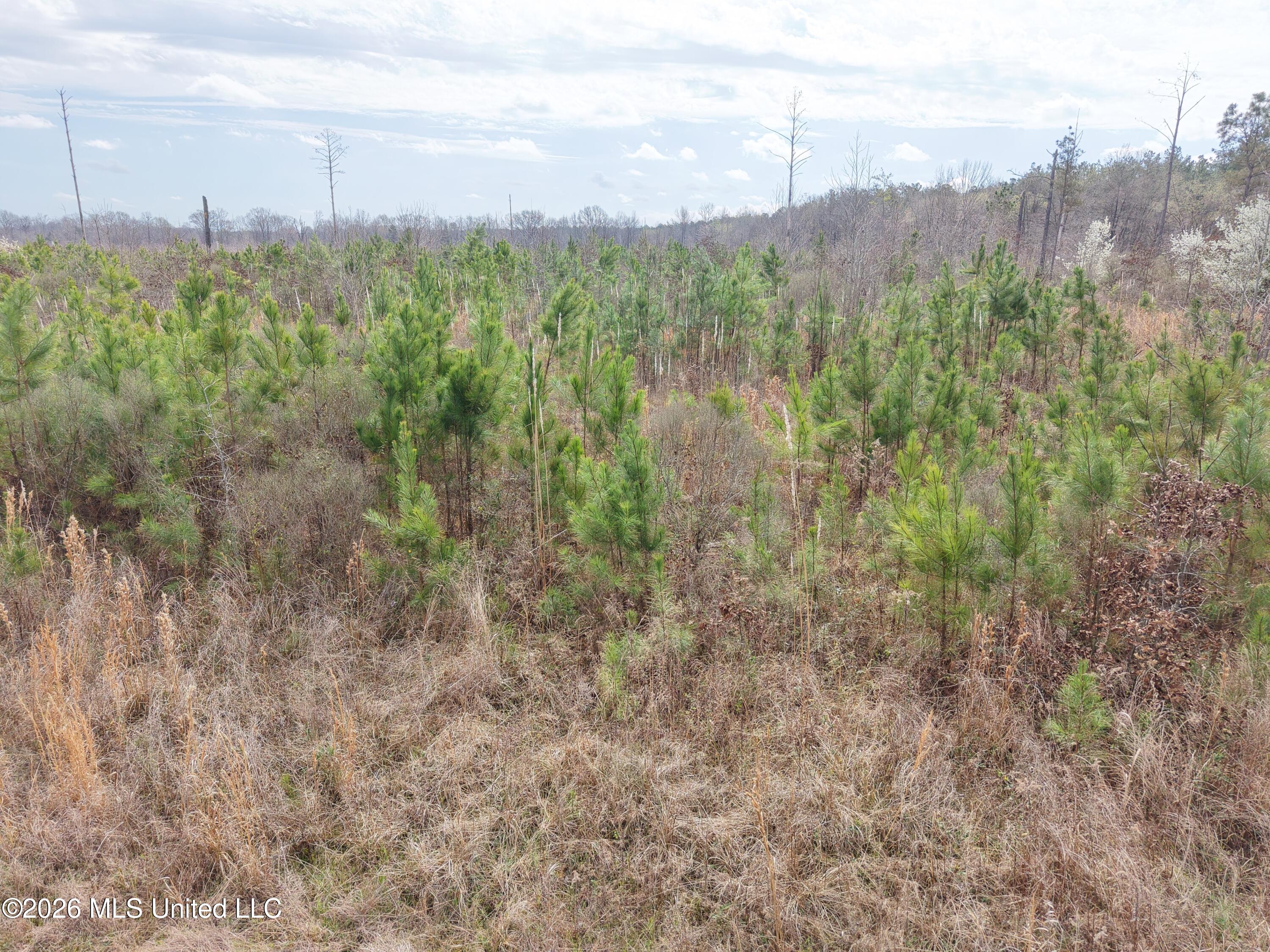 002 Reed Road Property Photo 3