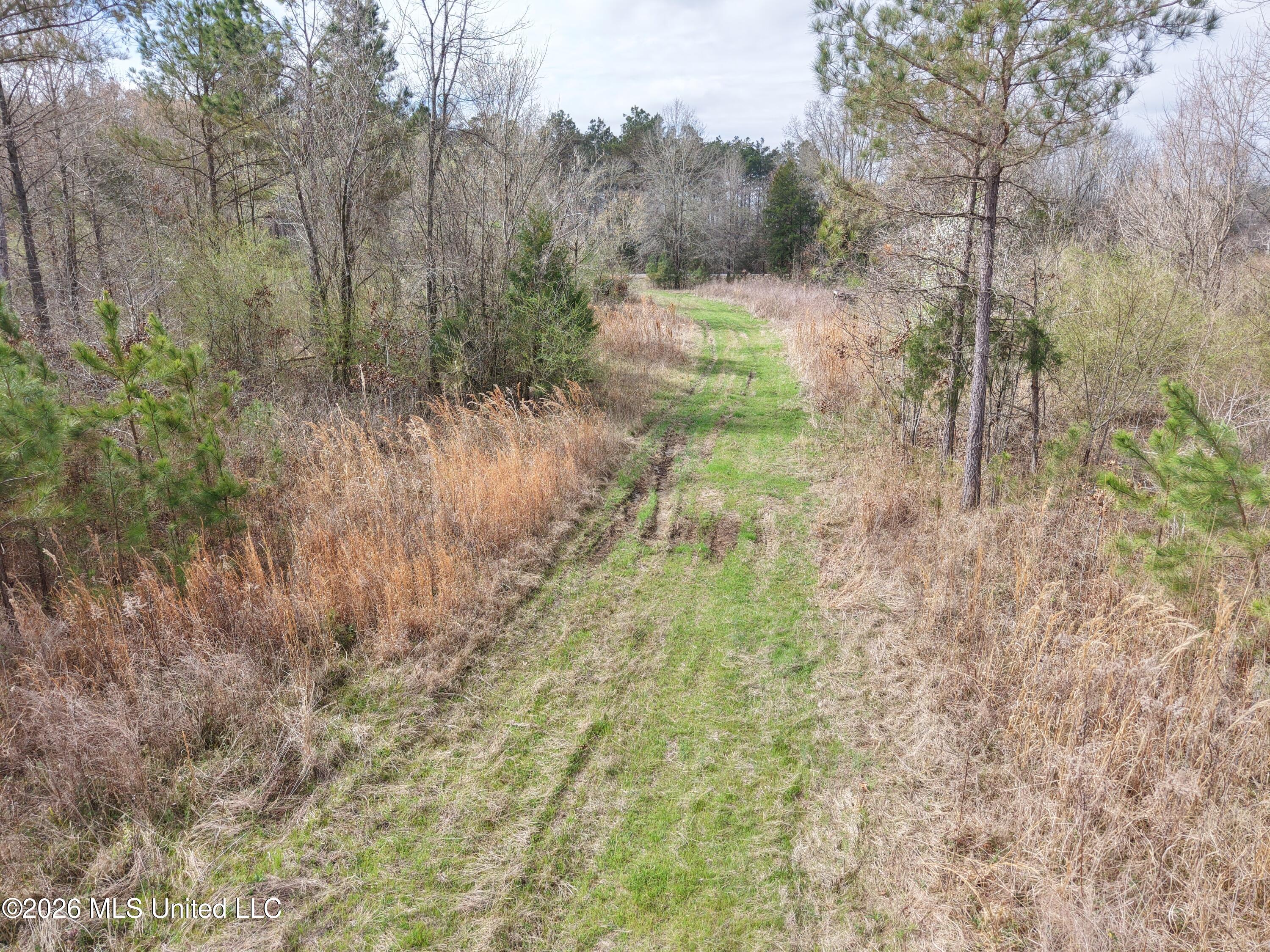 002 Reed Road Property Photo 5