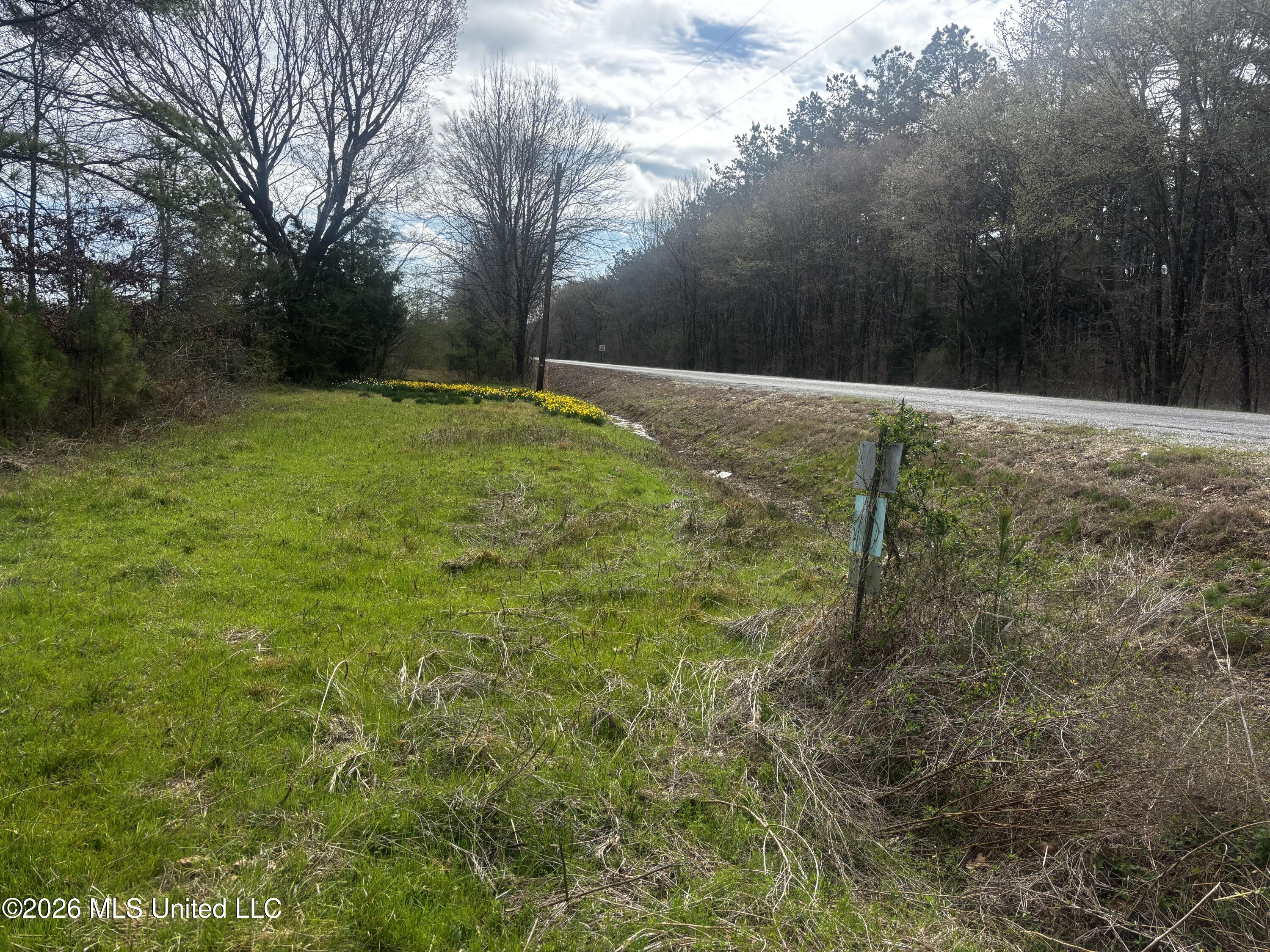 002 Reed Road Property Photo 8