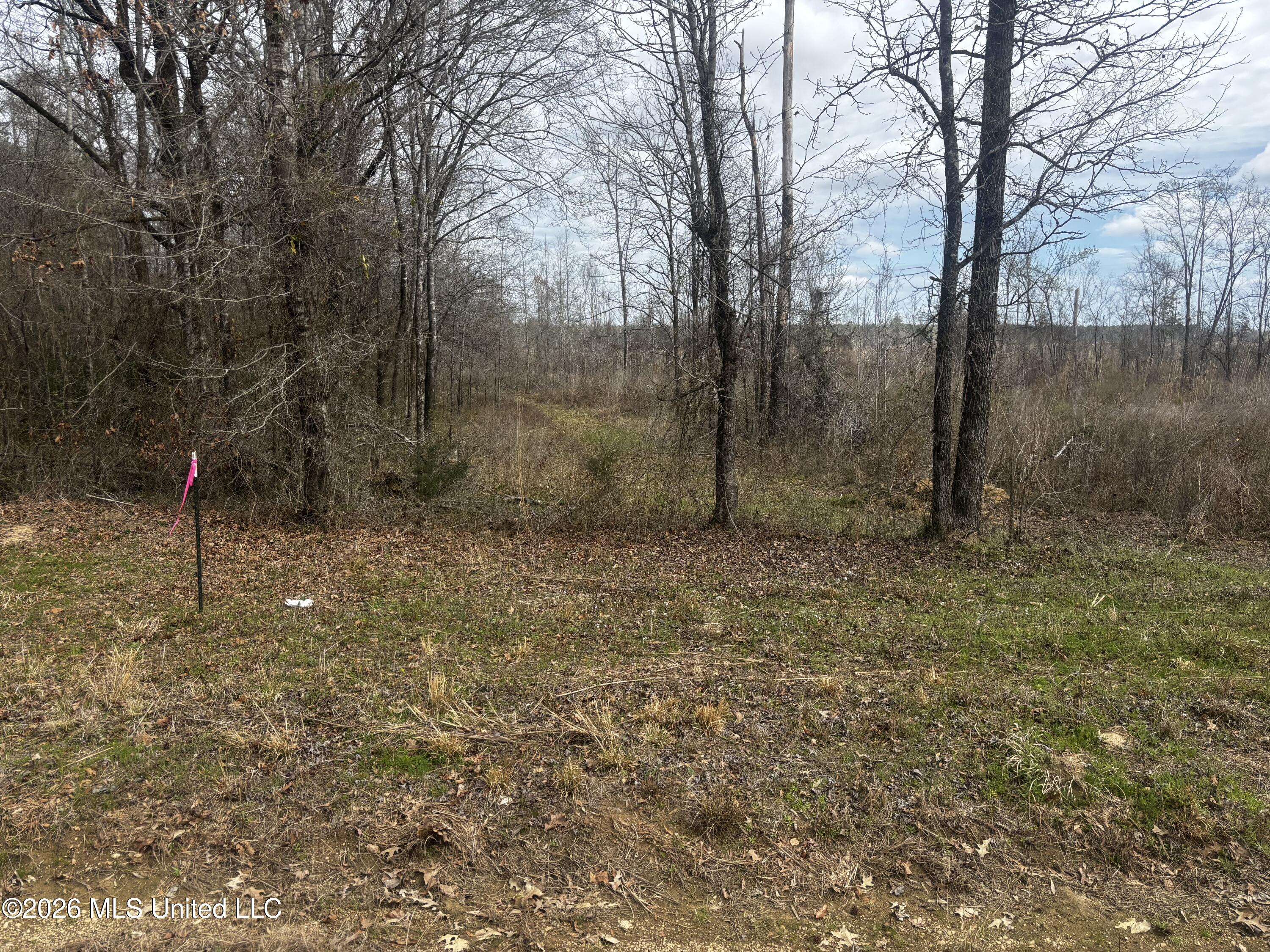 002 Reed Road Property Photo 10