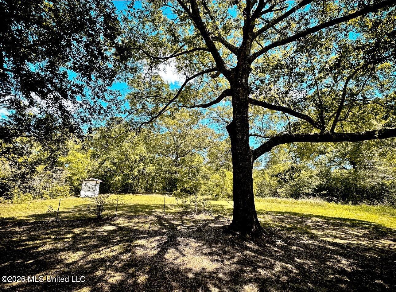 15526 Omas Road Property Photo 17