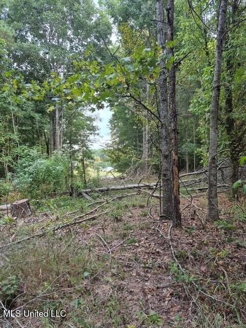 Lake View Dr Property Photo 3