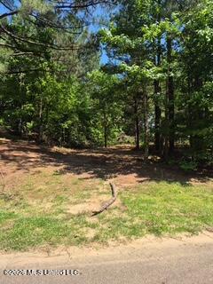 Lake View Dr Property Photo 6