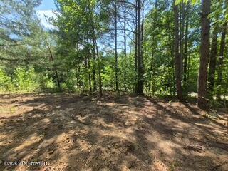 Lake View Dr Property Photo 8
