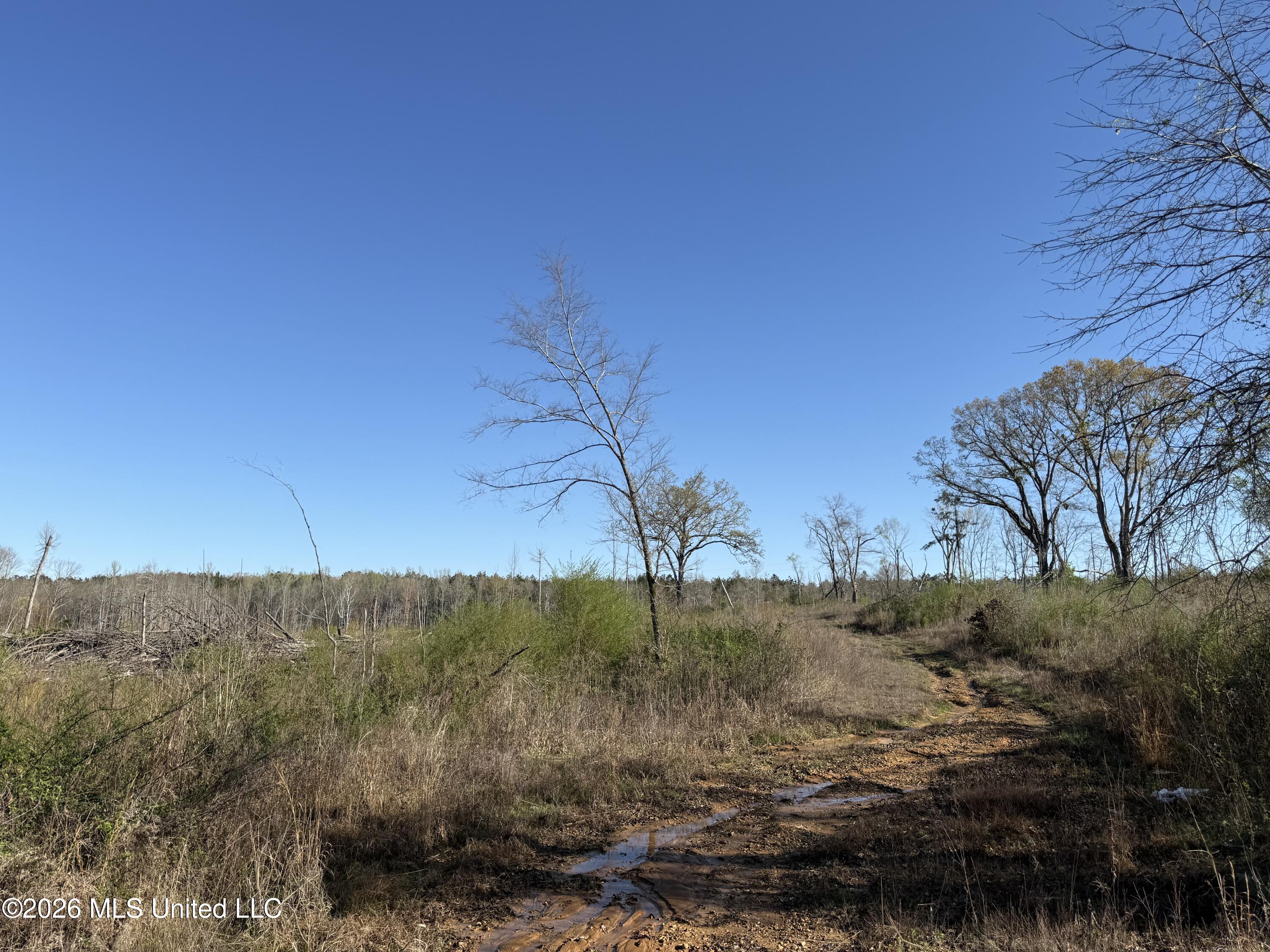 385 Vanarsdale Road Property Photo 3