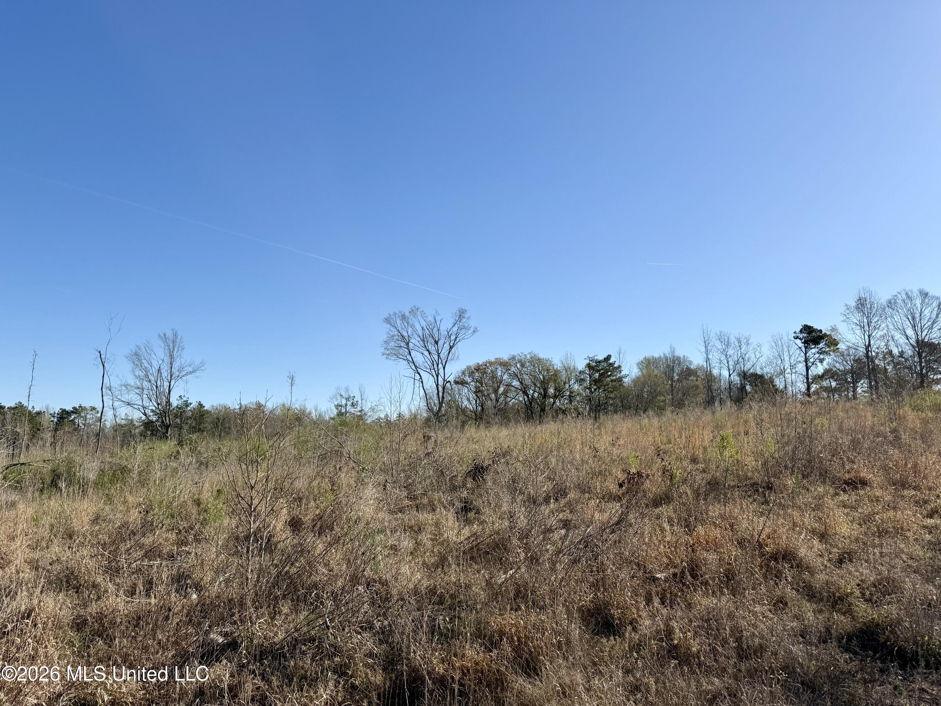 385 Vanarsdale Road Property Photo 4