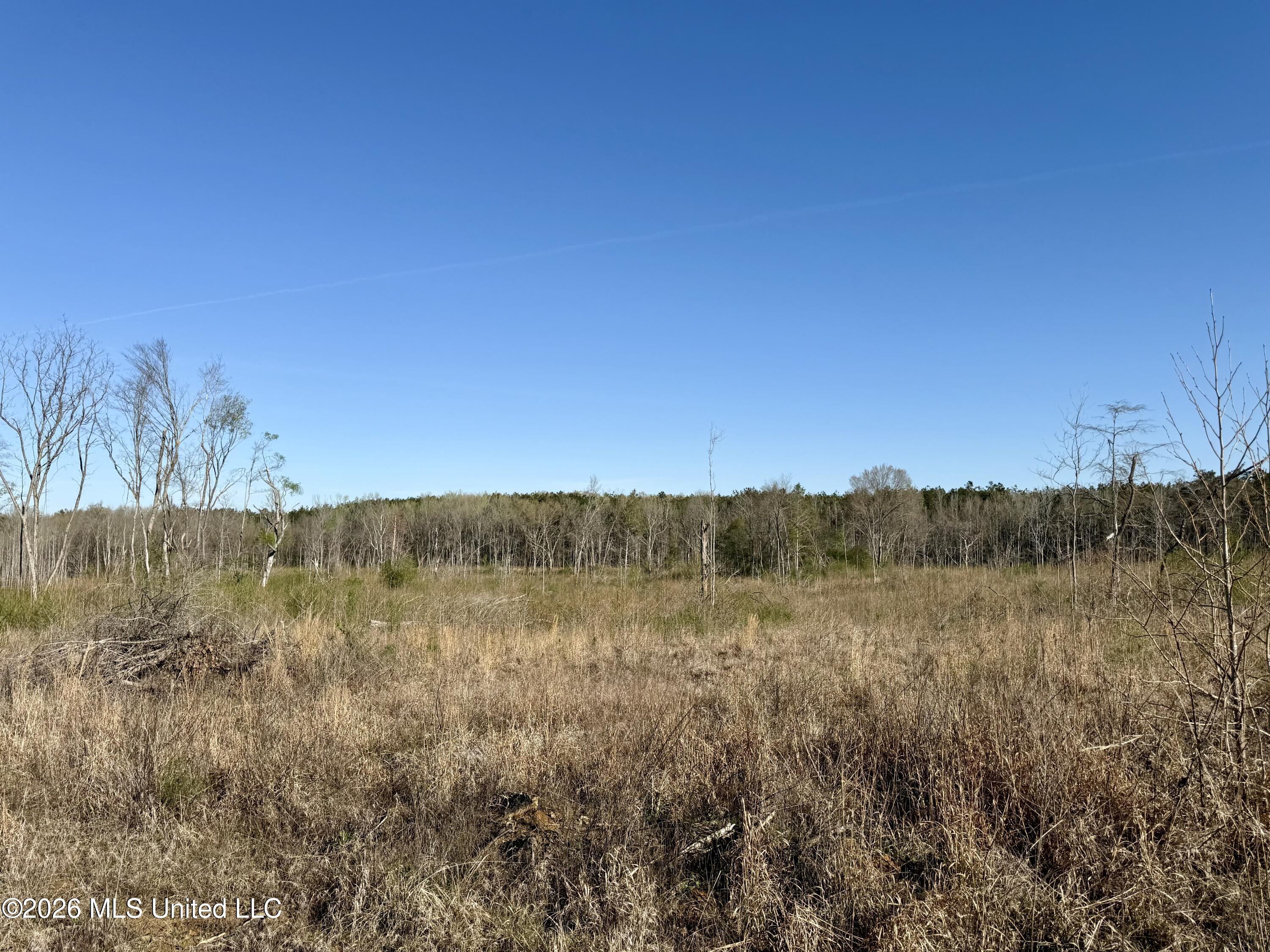 385 Vanarsdale Road Property Photo 5