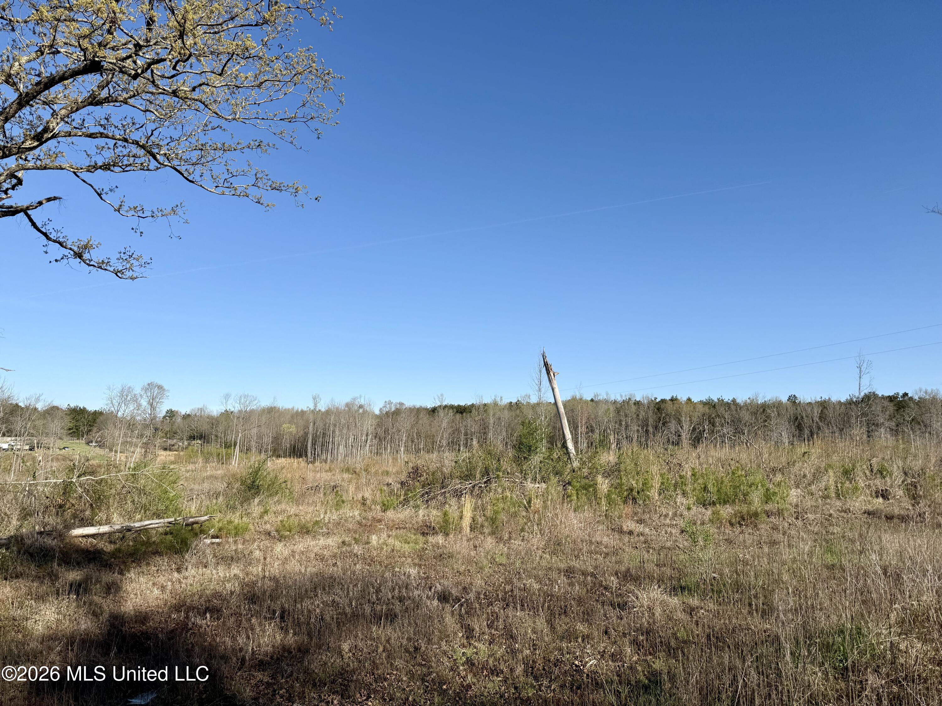 385 Vanarsdale Road Property Photo 6