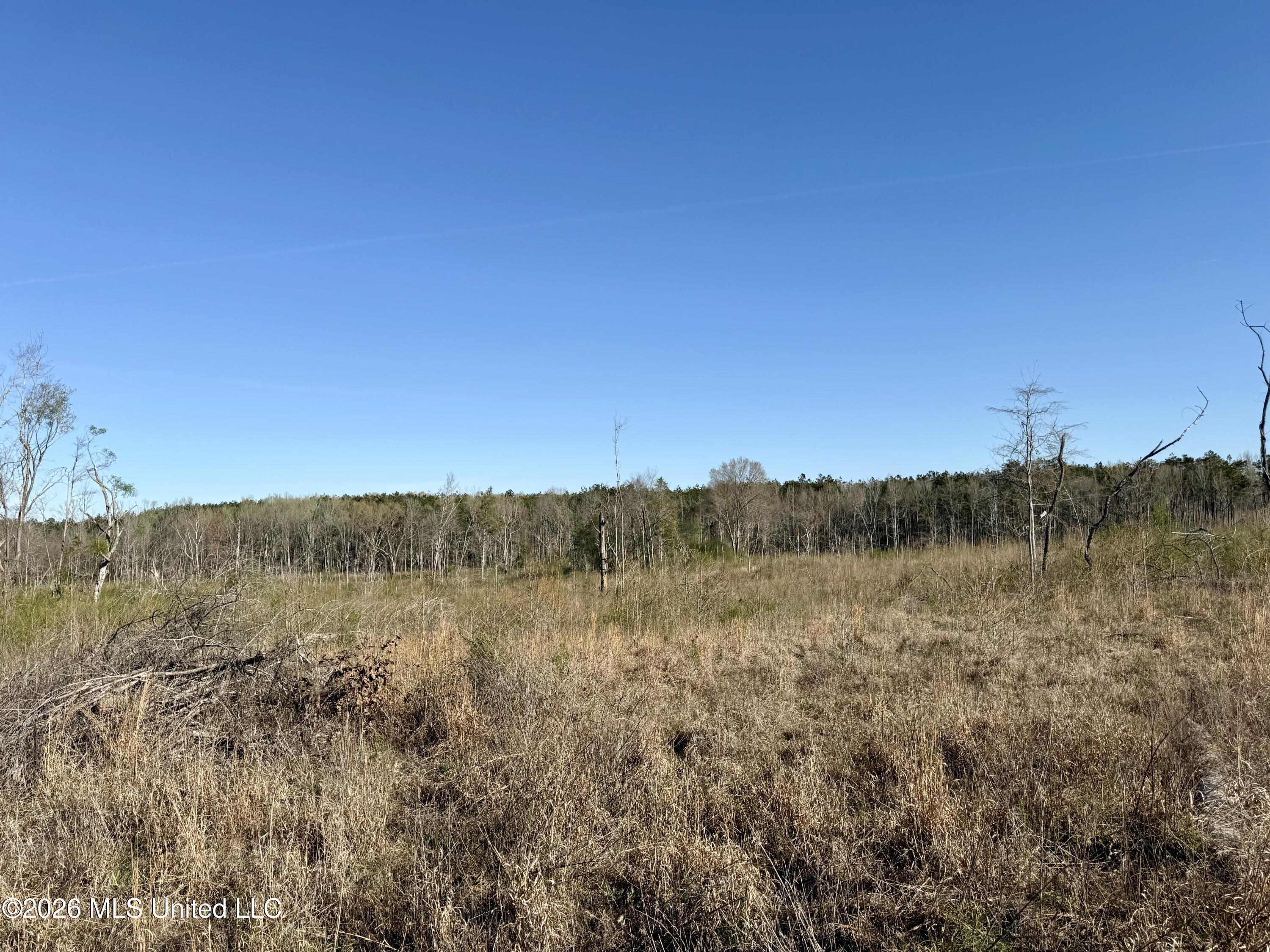 385 Vanarsdale Road Property Photo 7
