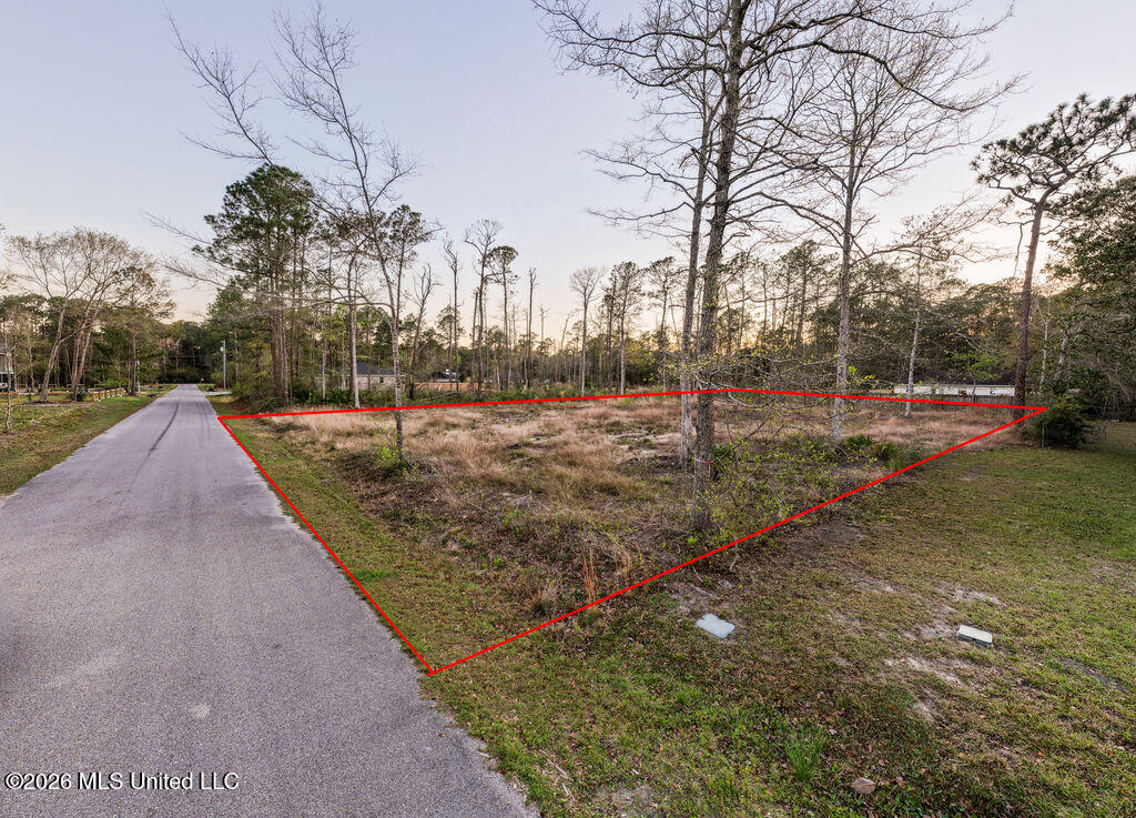 000 Dorothy Street Property Photo 1