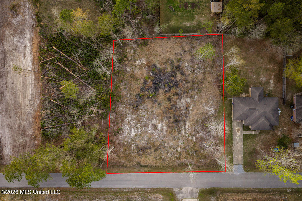 000 Dorothy Street Property Photo 10