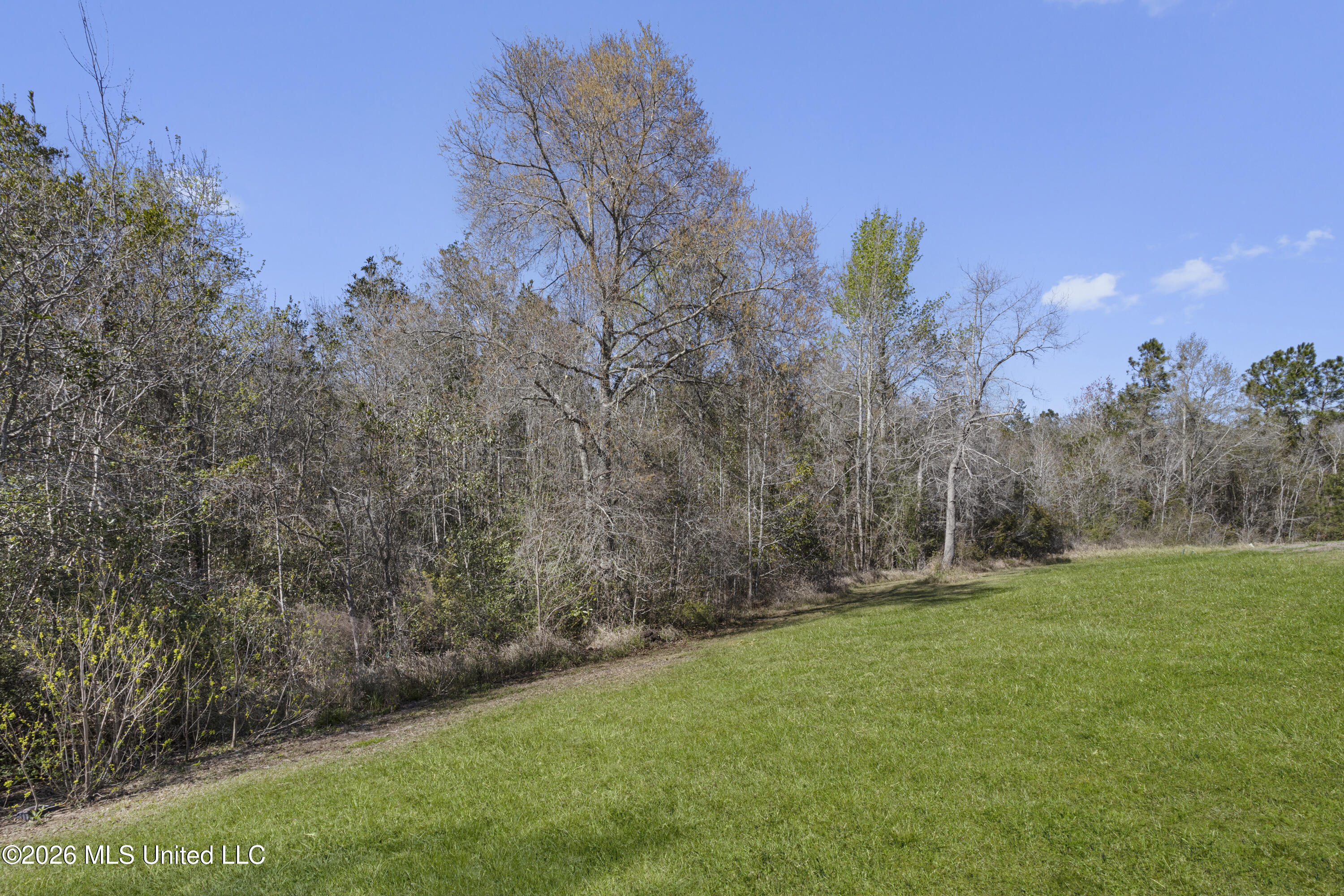 10641 Chapelwood Drive Property Photo 33