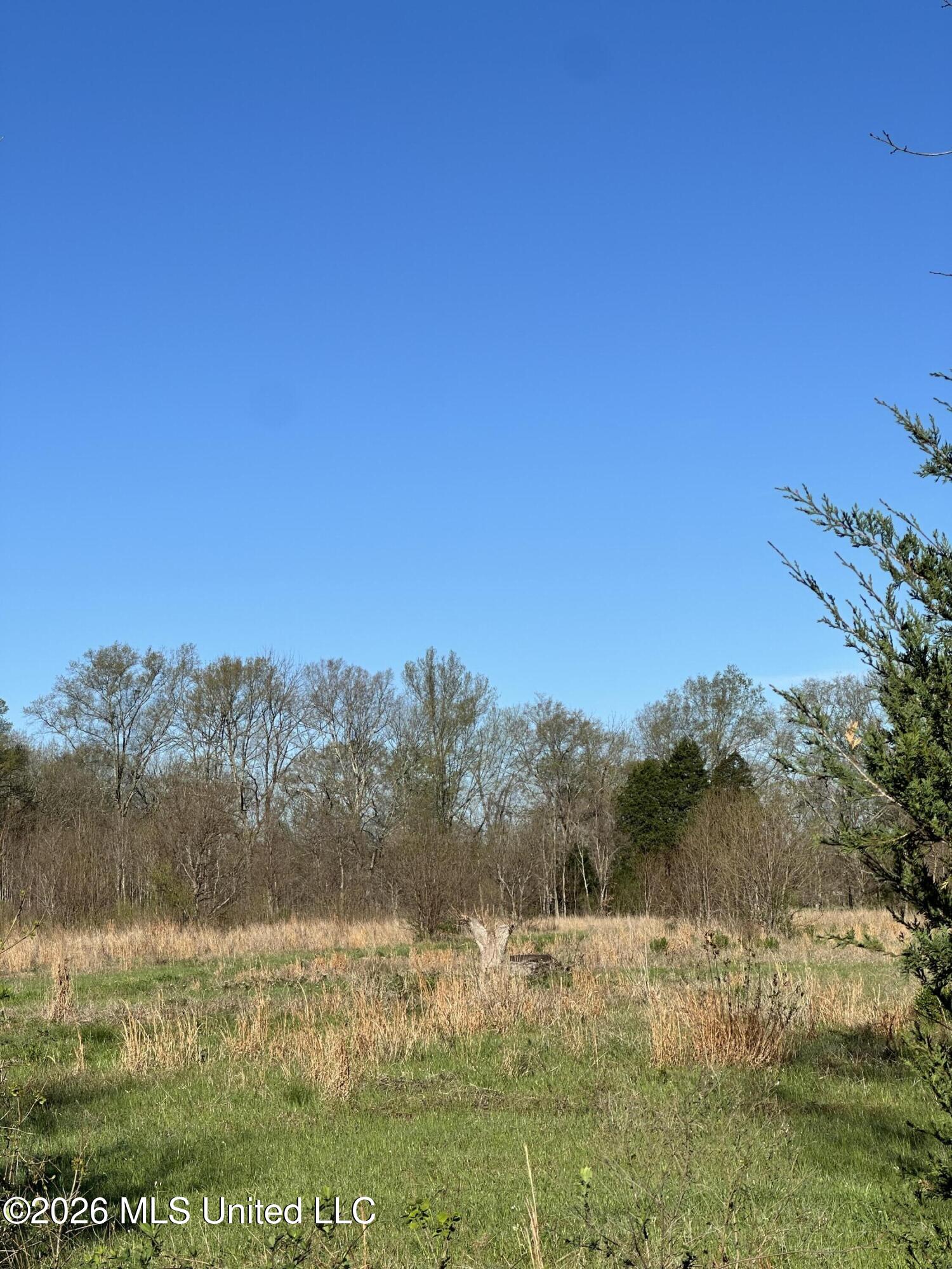Ms-469 Property Photo 1