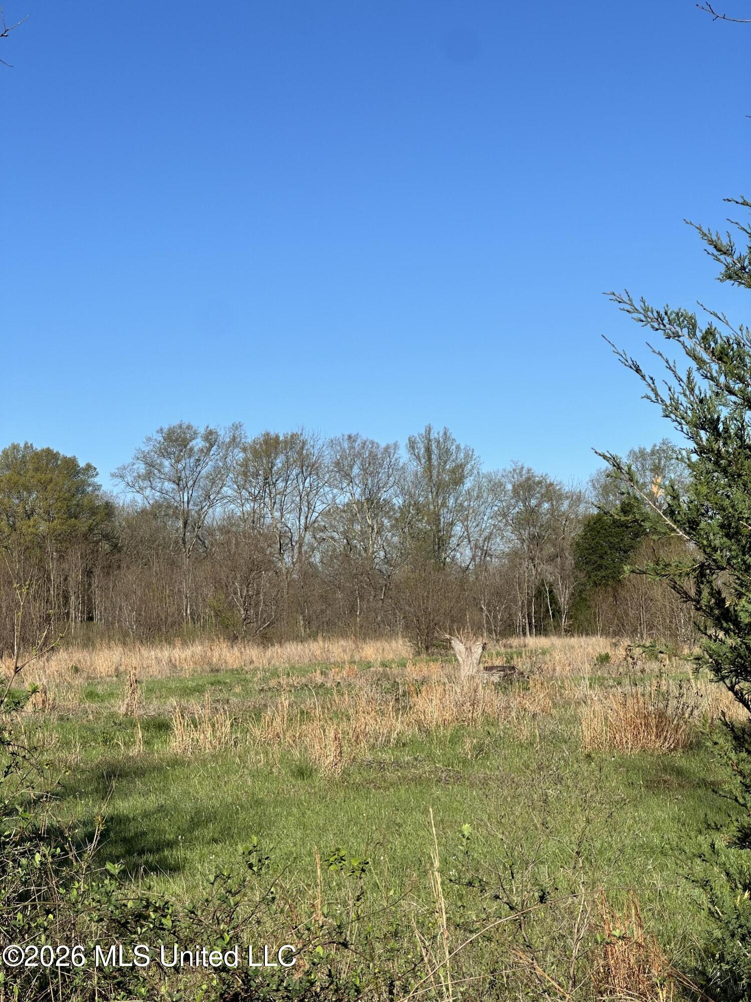 Ms-469 Property Photo 2