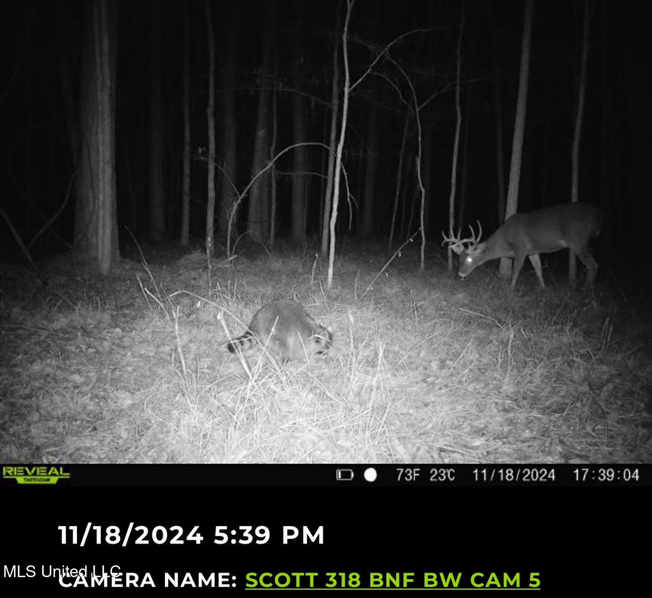2 Forest Service Road 562 Property Photo 3