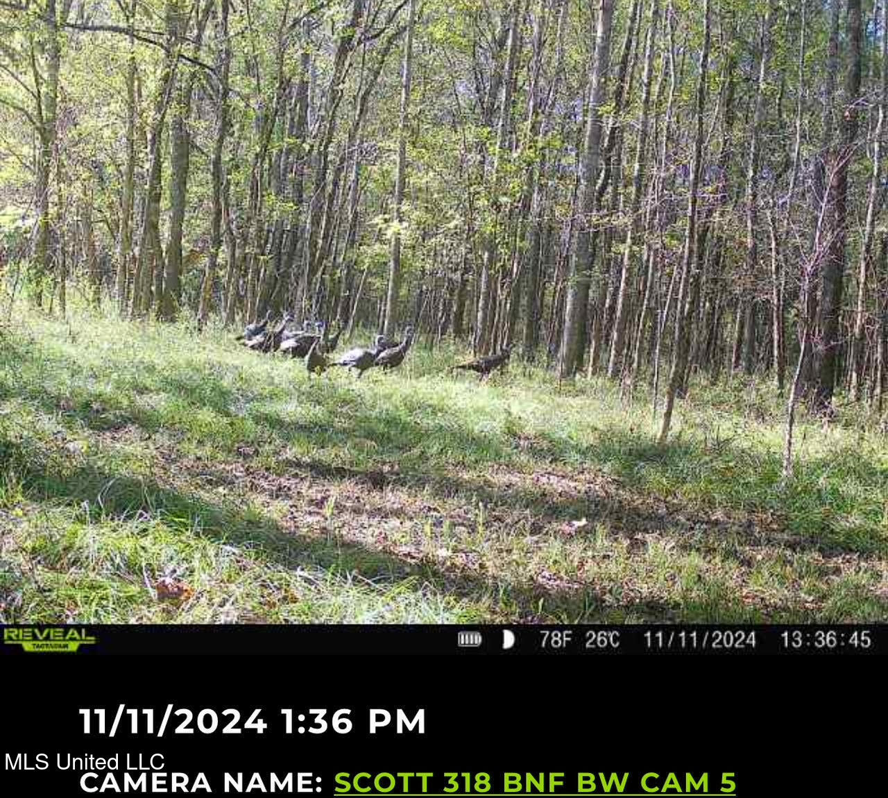 2 Forest Service Road 562 Property Photo 10