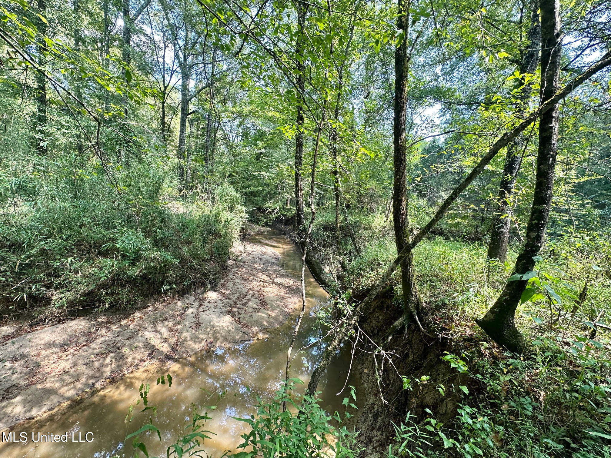 2 Forest Service Road 562 Property Photo 18