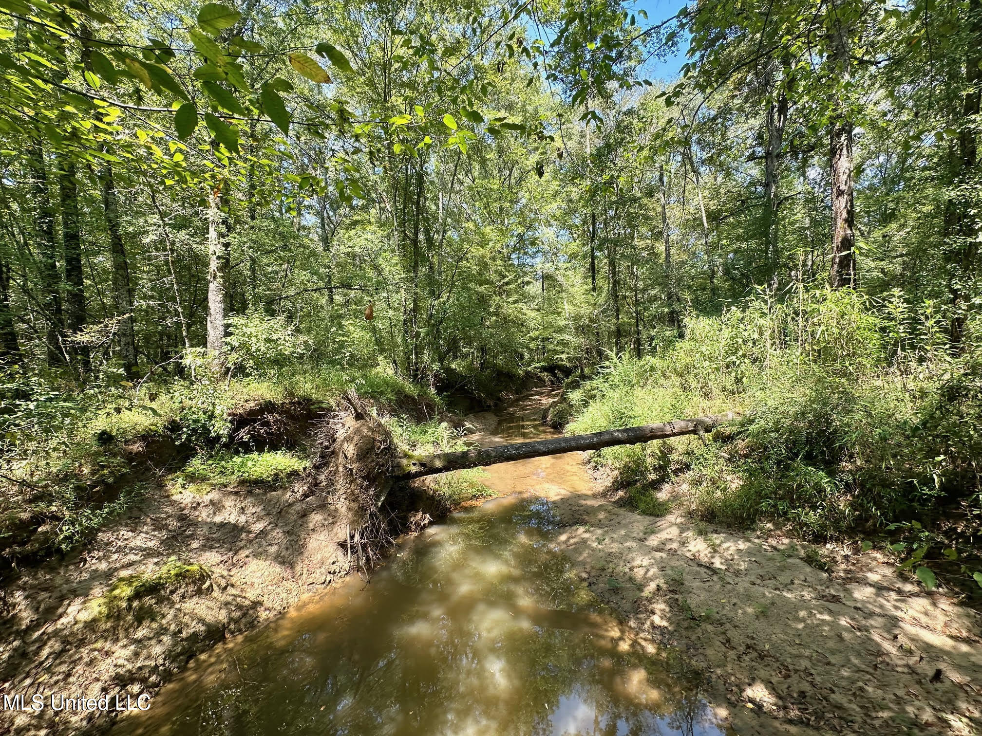 2 Forest Service Road 562 Property Photo 19