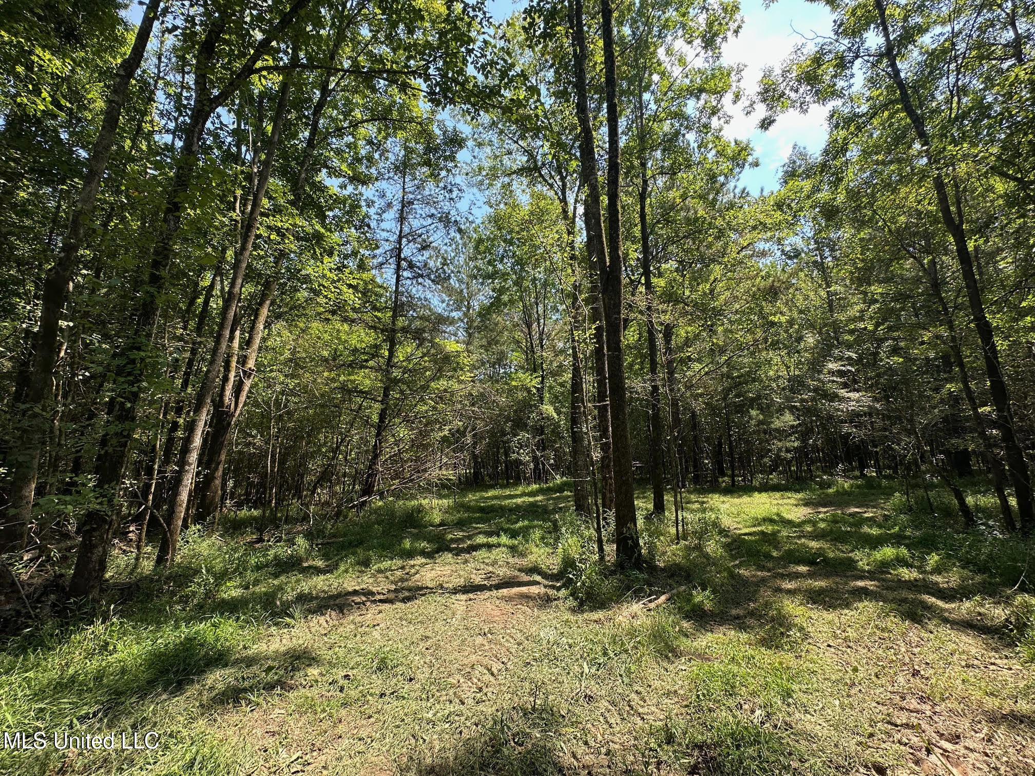 2 Forest Service Road 562 Property Photo 22