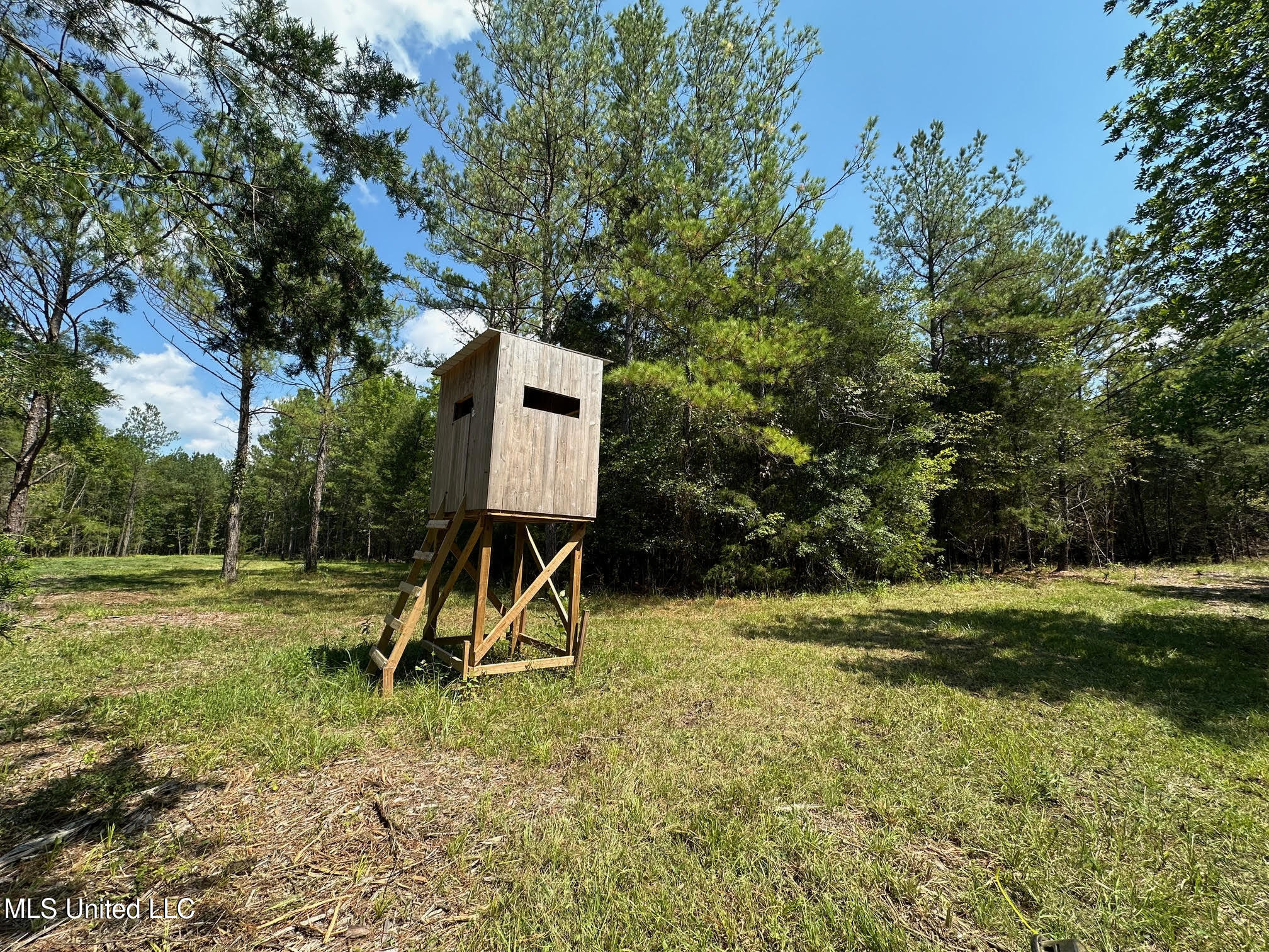 2 Forest Service Road 562 Property Photo 26