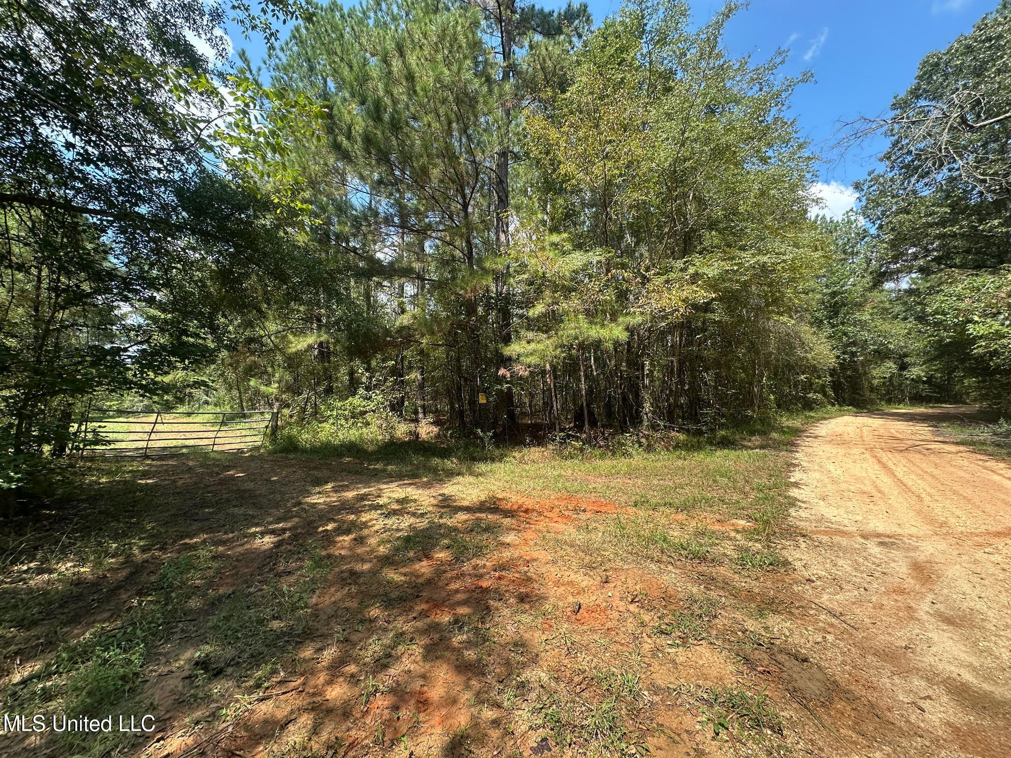 2 Forest Service Road 562 Property Photo 33