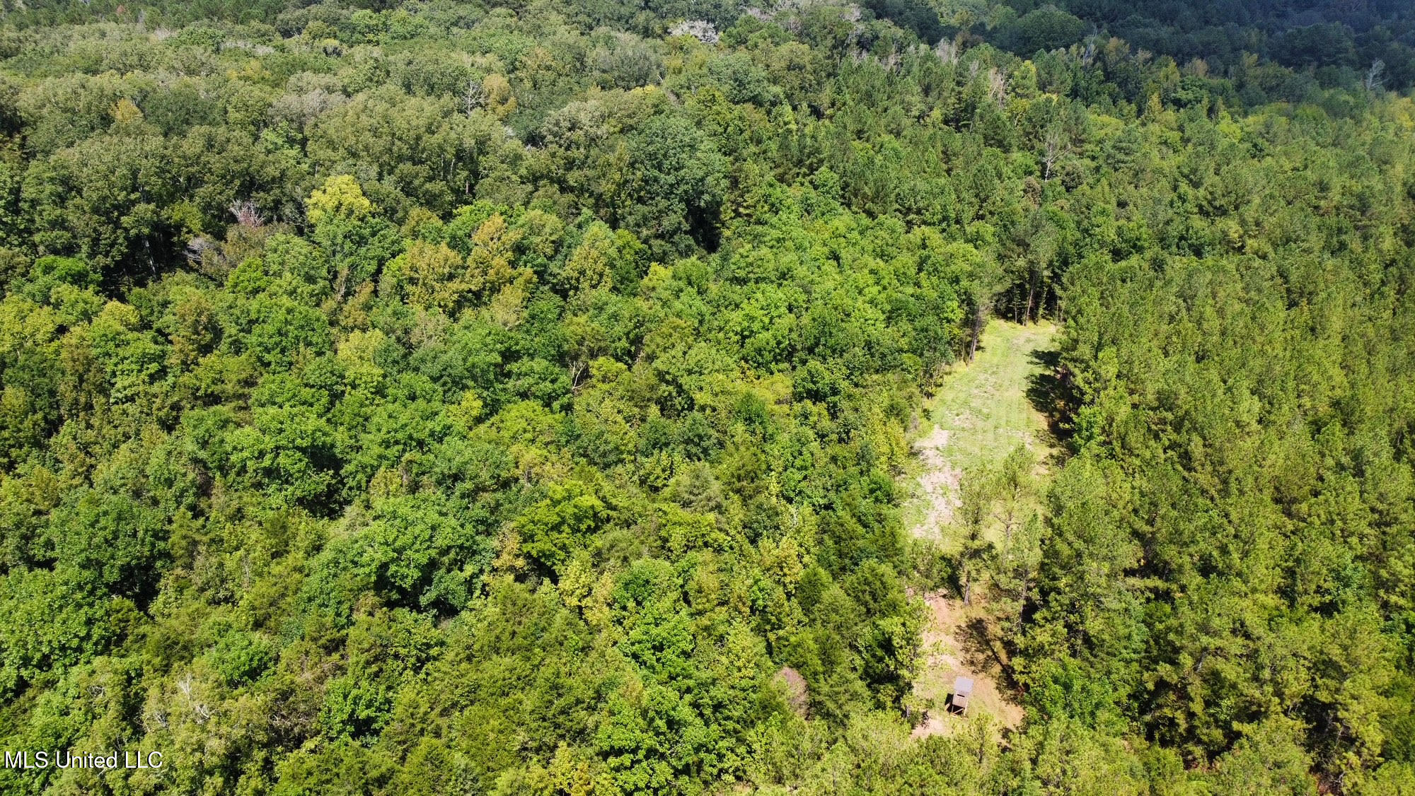2 Forest Service Road 562 Property Photo 45
