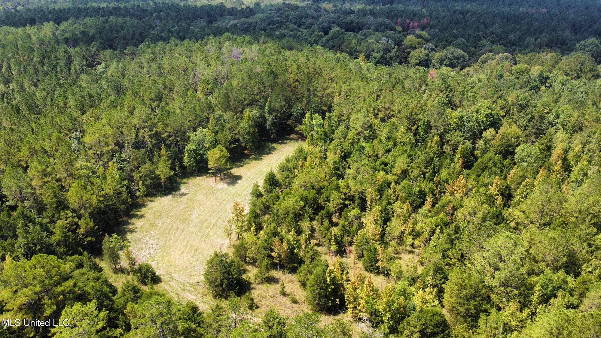 2 Forest Service Road 562 Property Photo 47