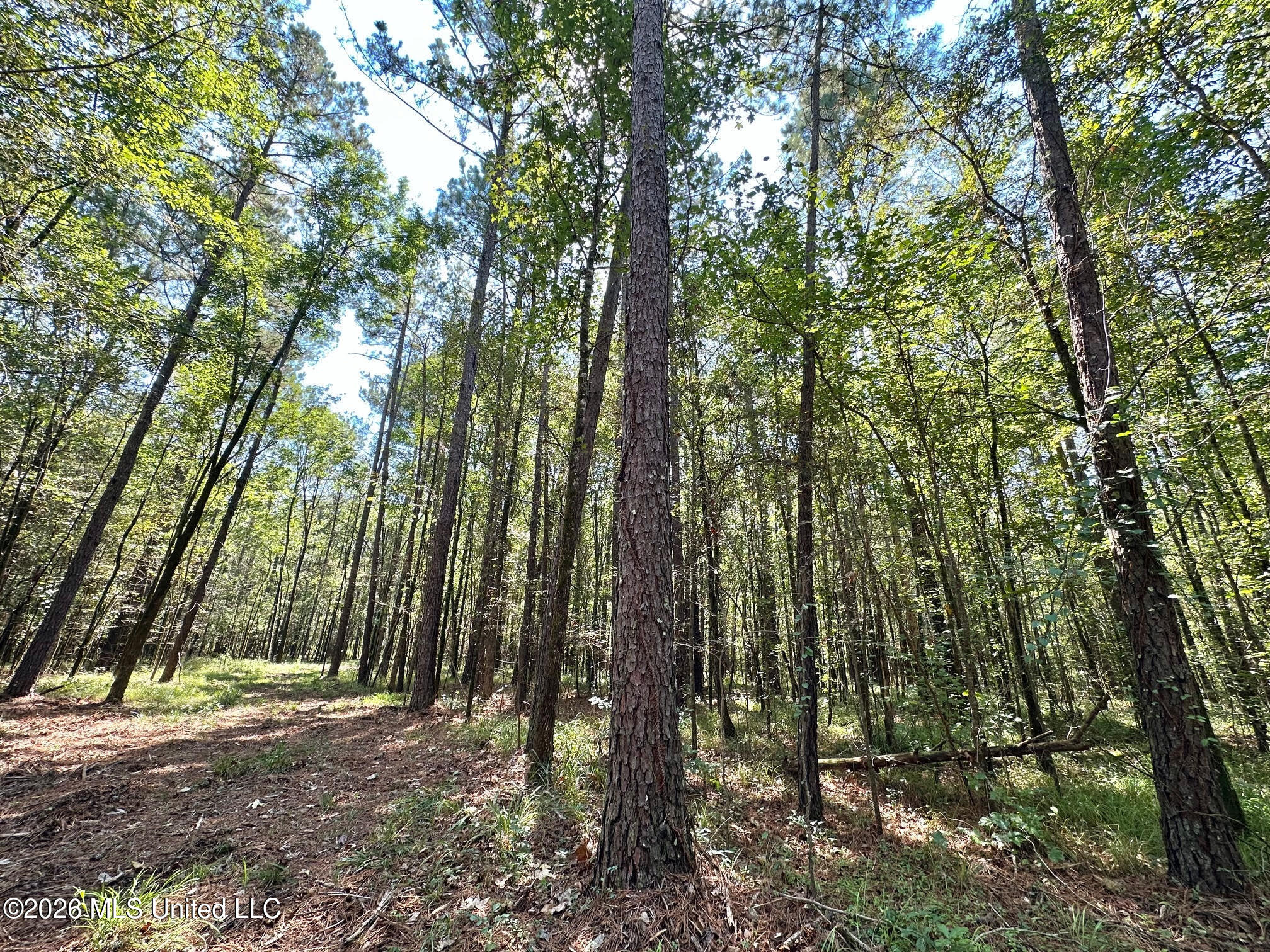 6 Forest Service Road 562 Property Photo 1