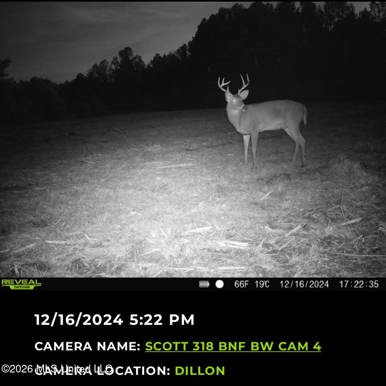 6 Forest Service Road 562 Property Photo 2
