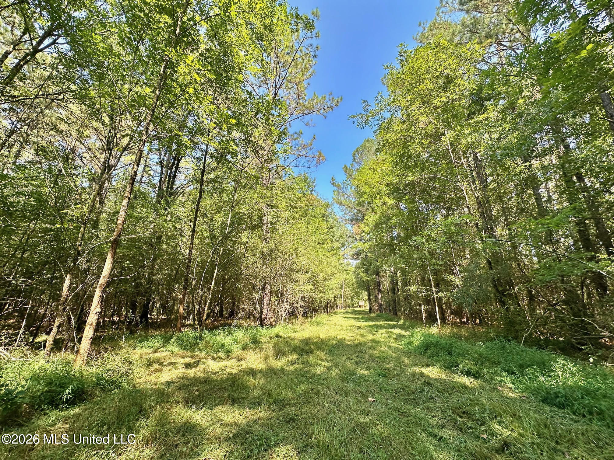 6 Forest Service Road 562 Property Photo 5