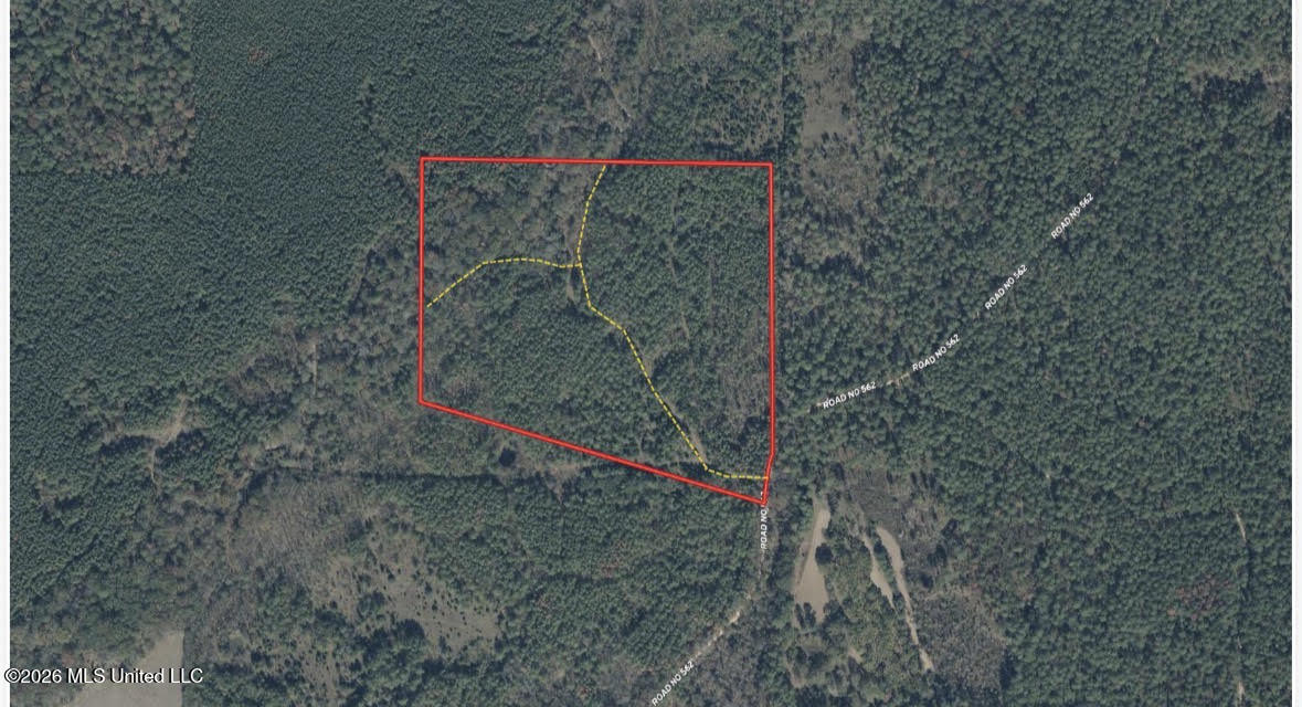6 Forest Service Road 562 Property Photo 16