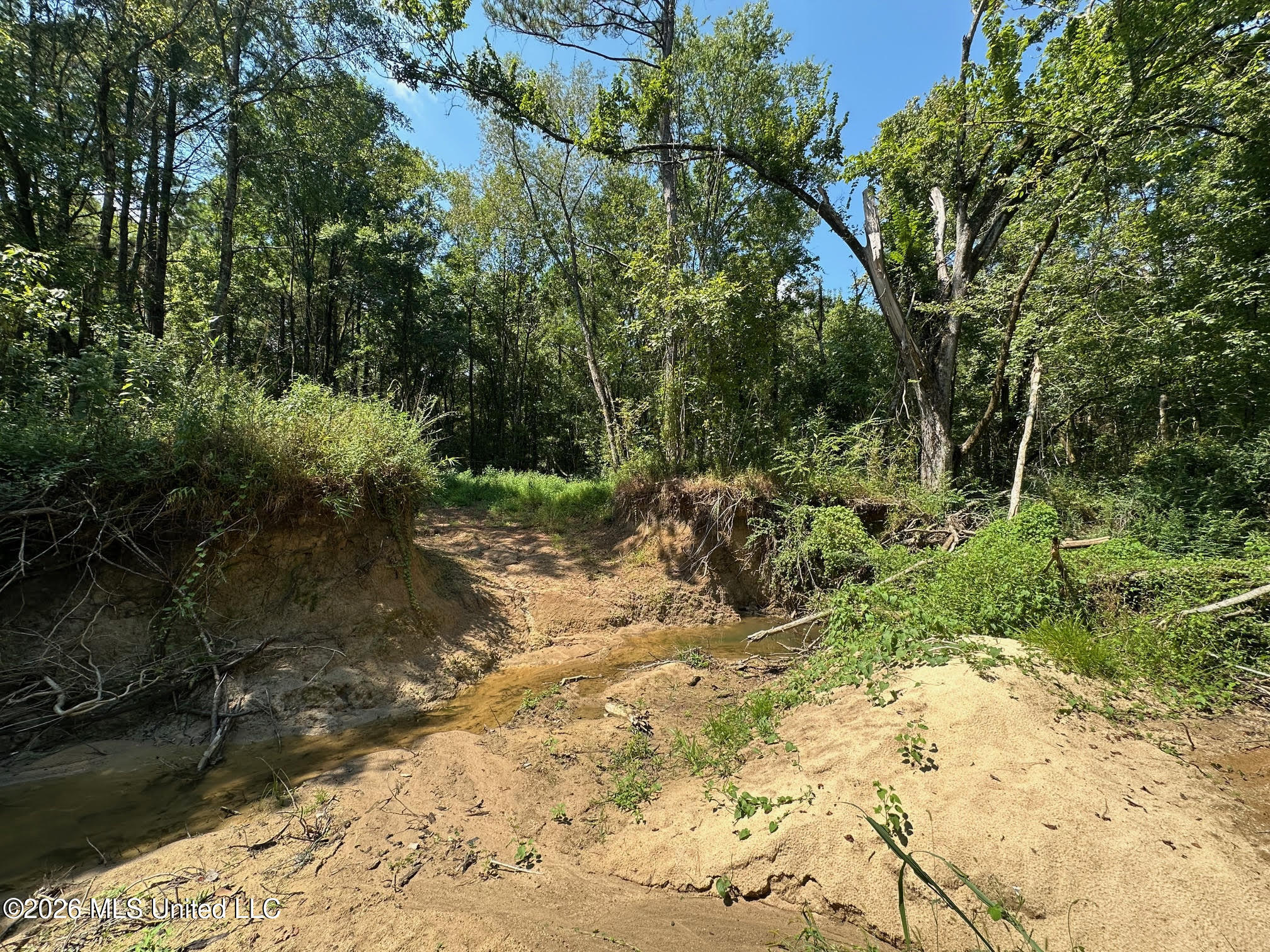 7 Forest Service Road 562 Property Photo 10