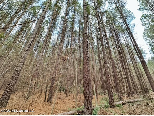 7 Forest Service Road 562 Property Photo 15