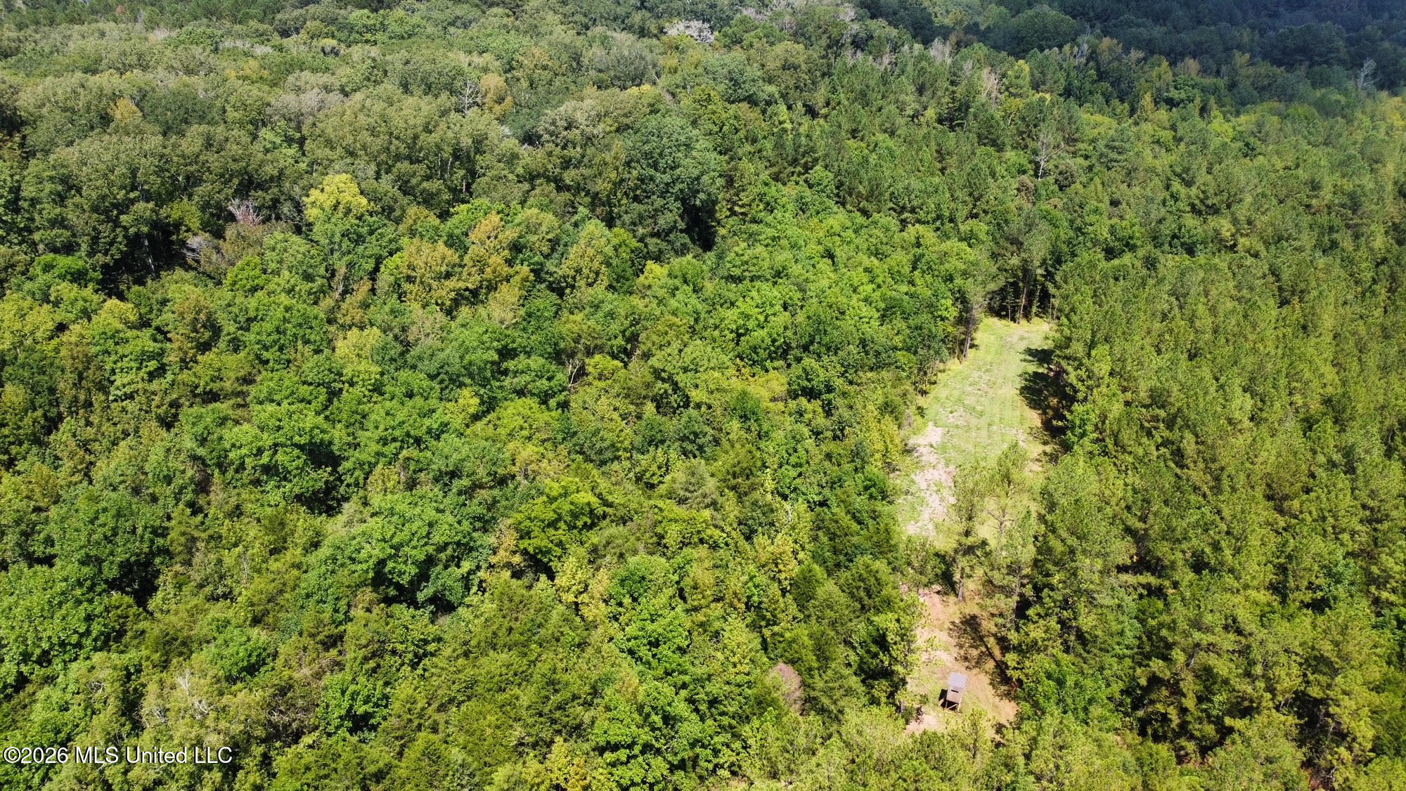 7 Forest Service Road 562 Property Photo 19